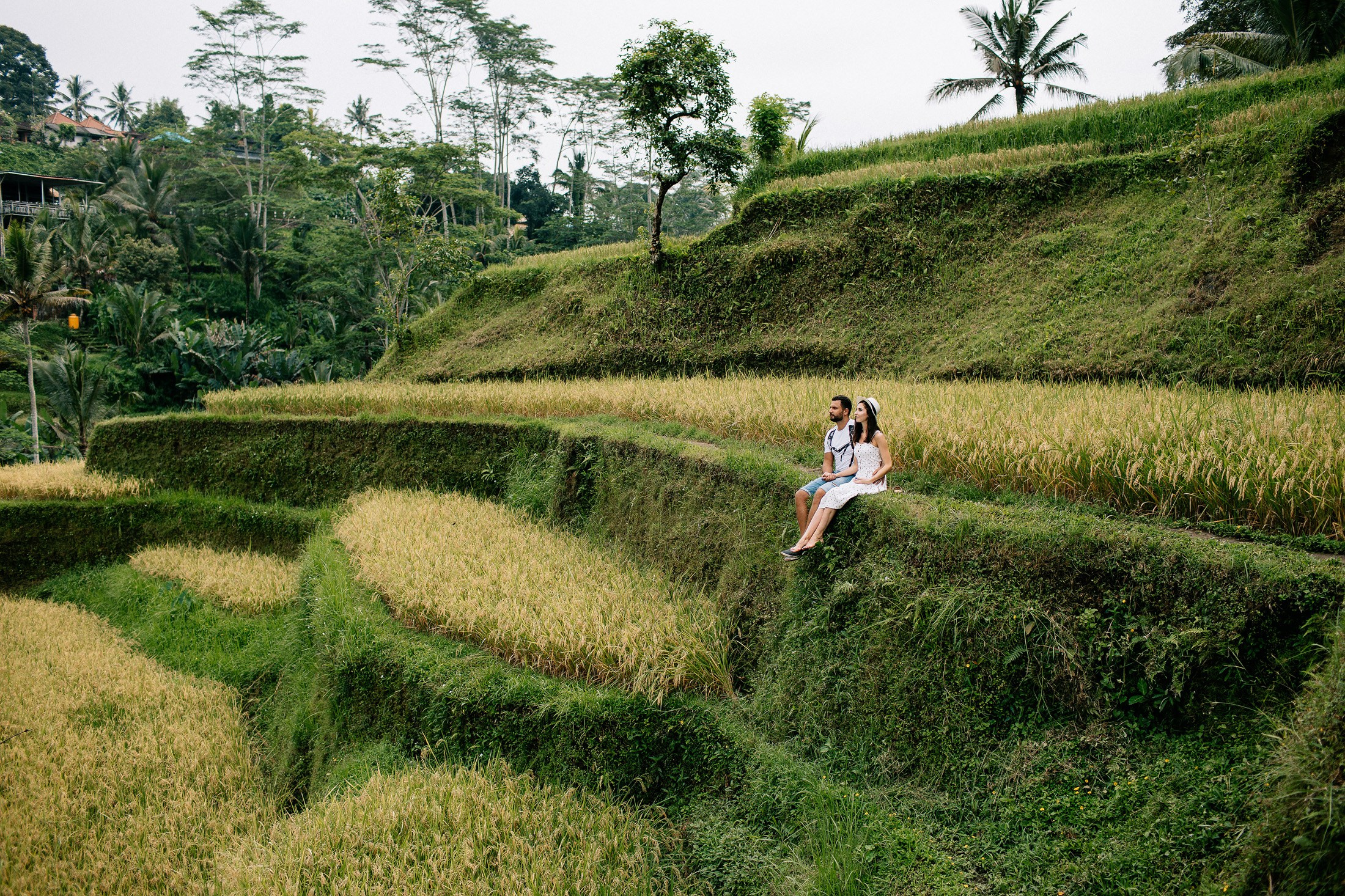 Hotel + Rice terraces. Getitfeel — Aesthetic Photography and Videography