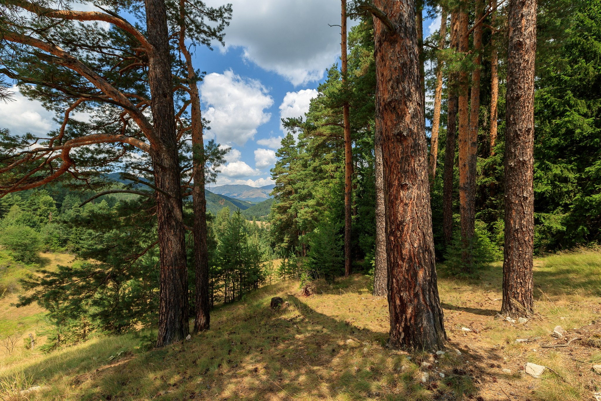 Планини. Александър Сандев - website