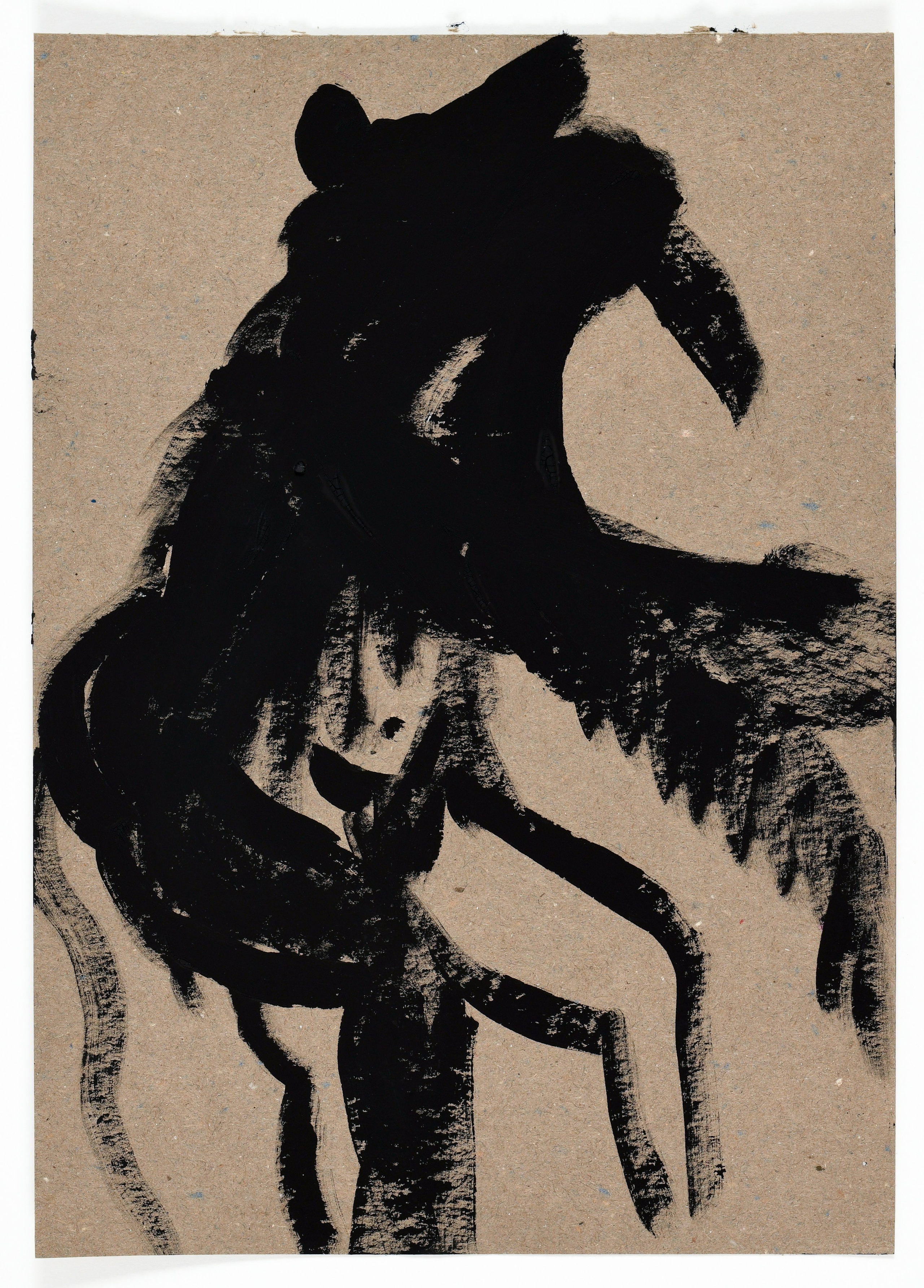 Birds and rats, 2020. Haim Sokol’s artists website