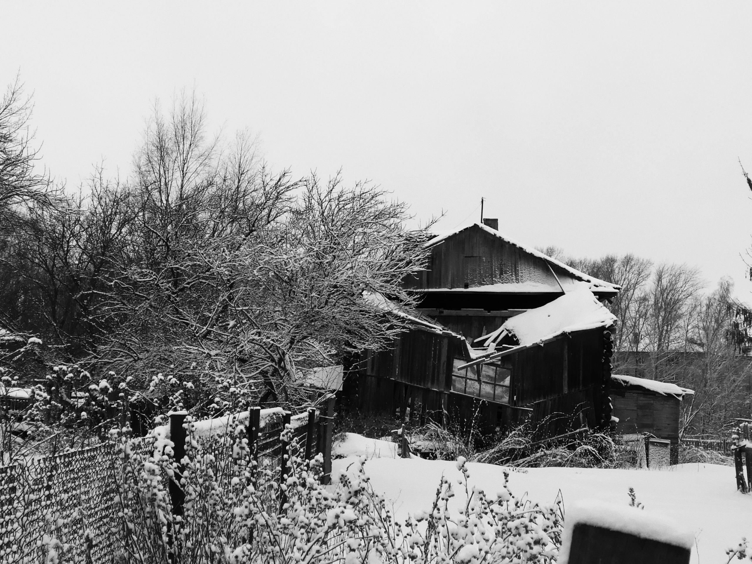 «Фотохроники»