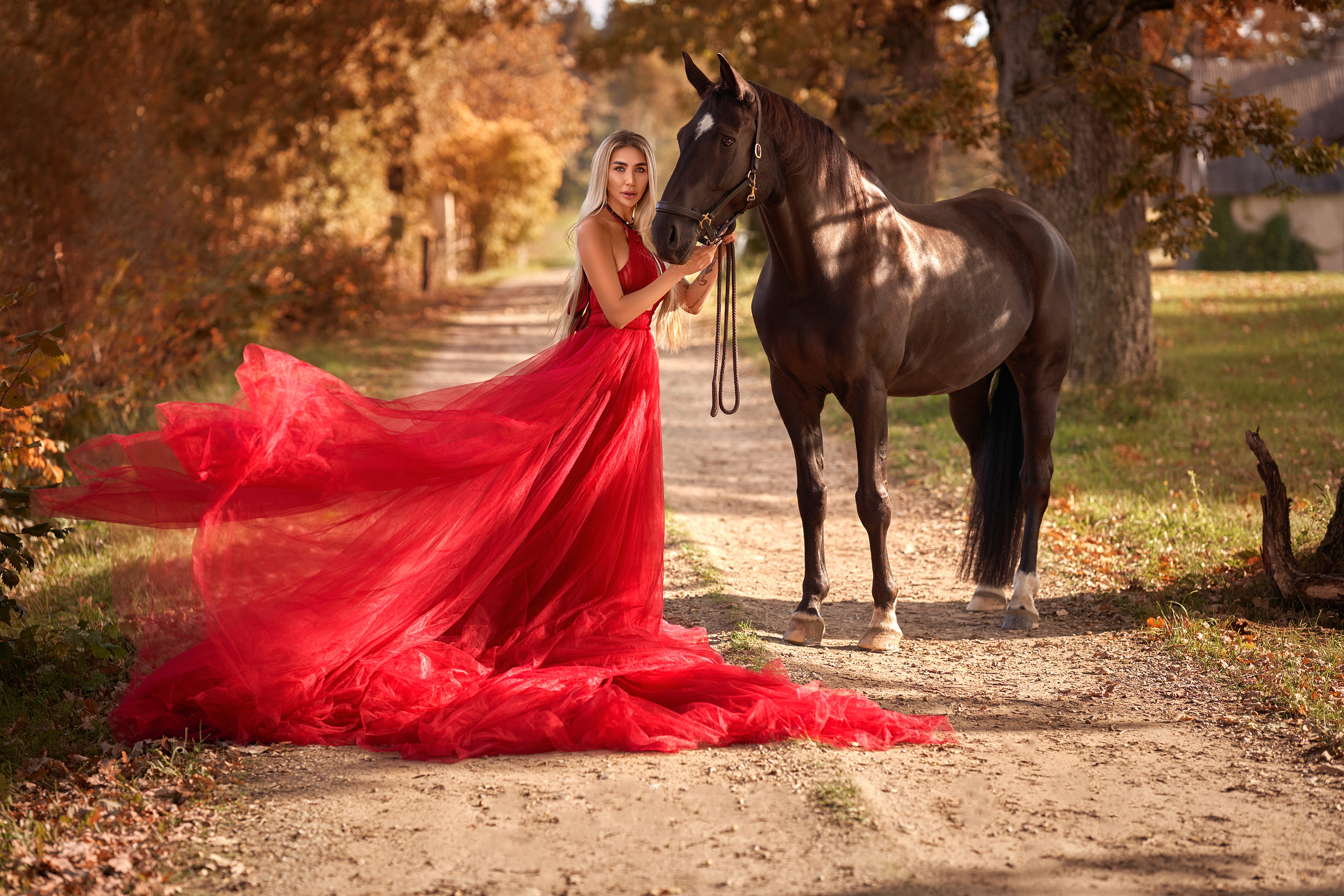 With Horses. Youdusha.com