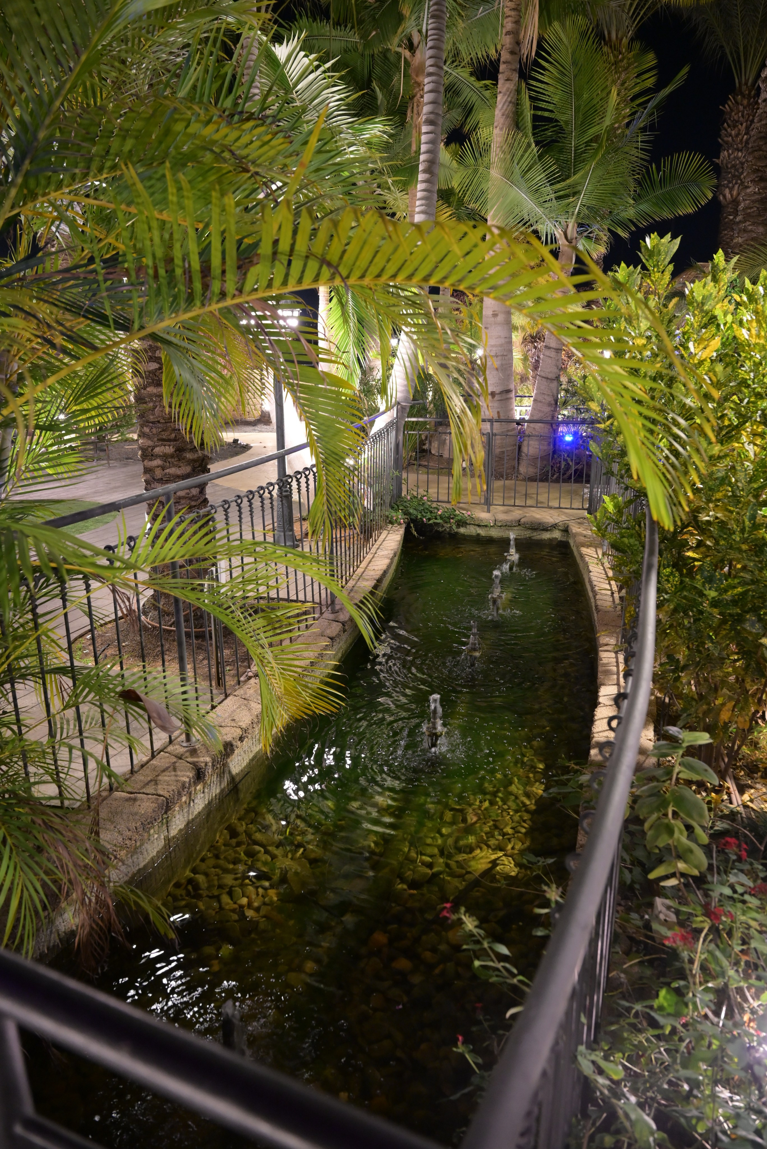 טרויה. Wedding and events photographers Studio Shalom