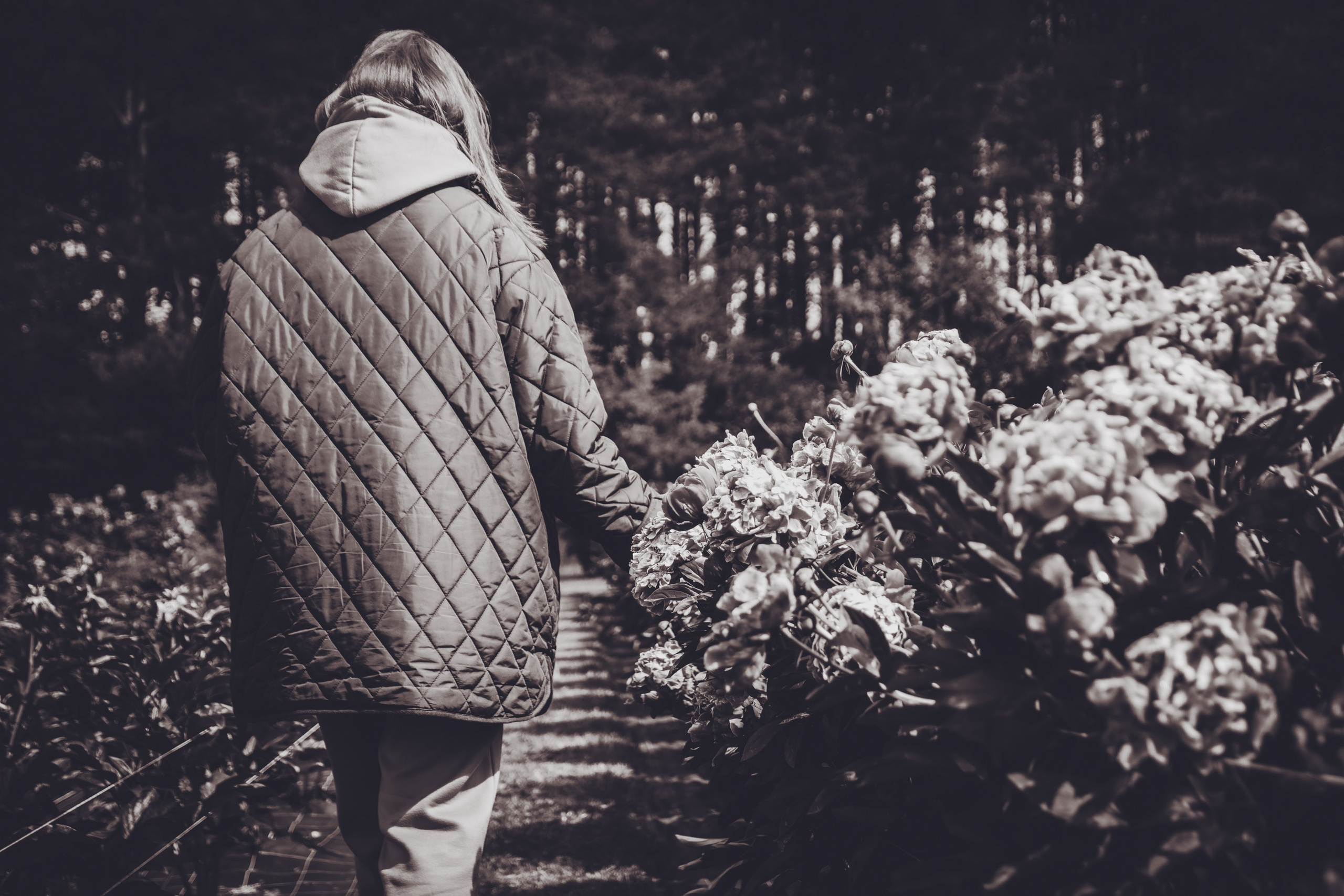 Saaremaa, reis (Nika A.). Nebula 25 — Fotod teie hingele