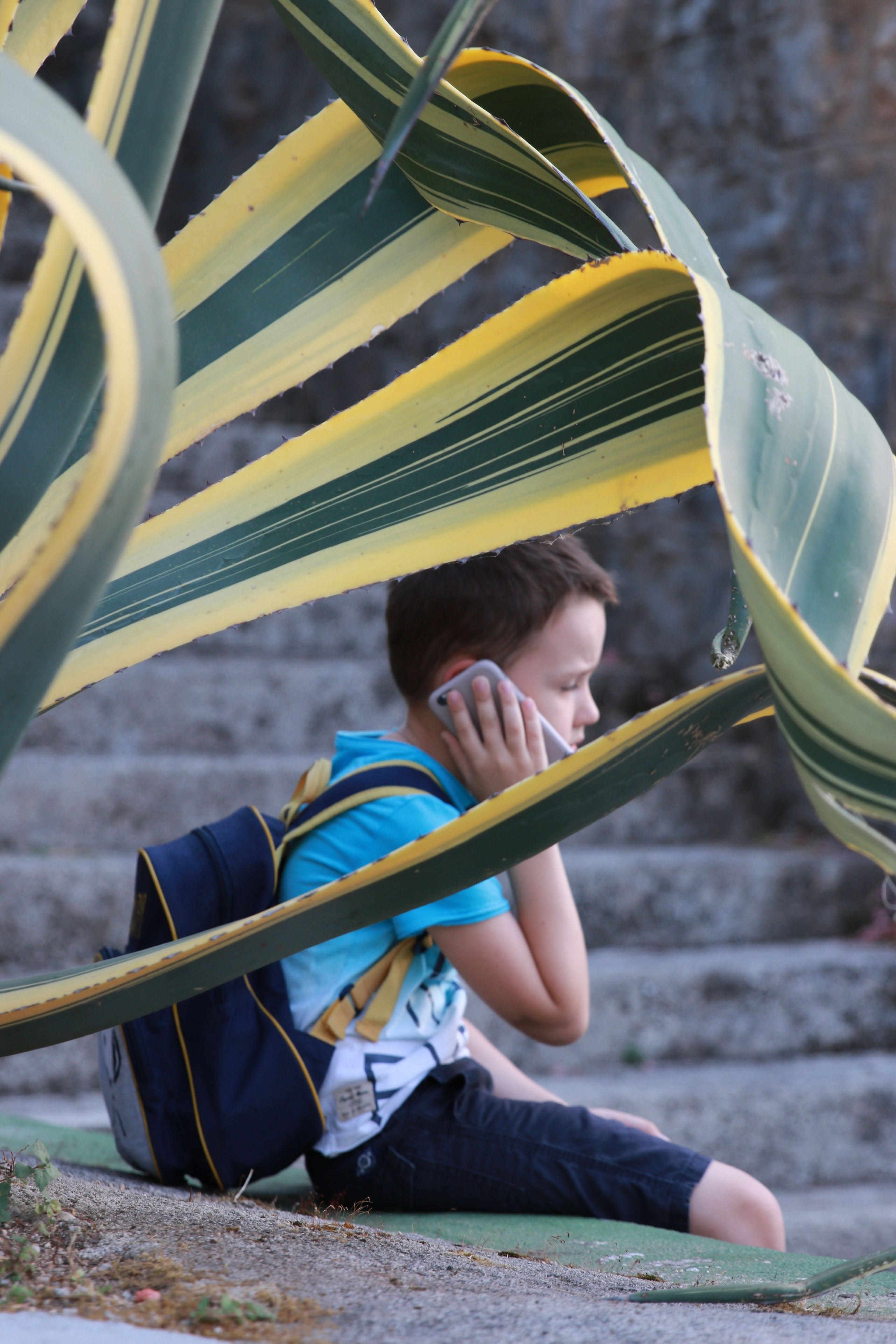 Наш поселок Крашичи. Apartmen 365