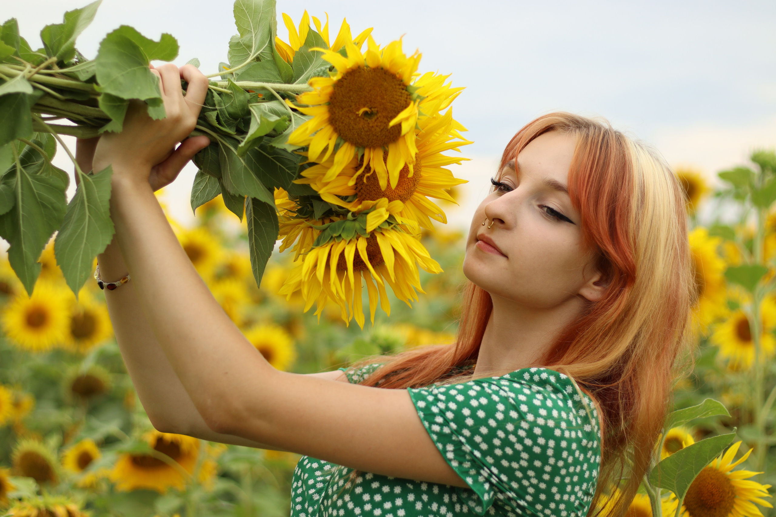 Фото с подсолнухами