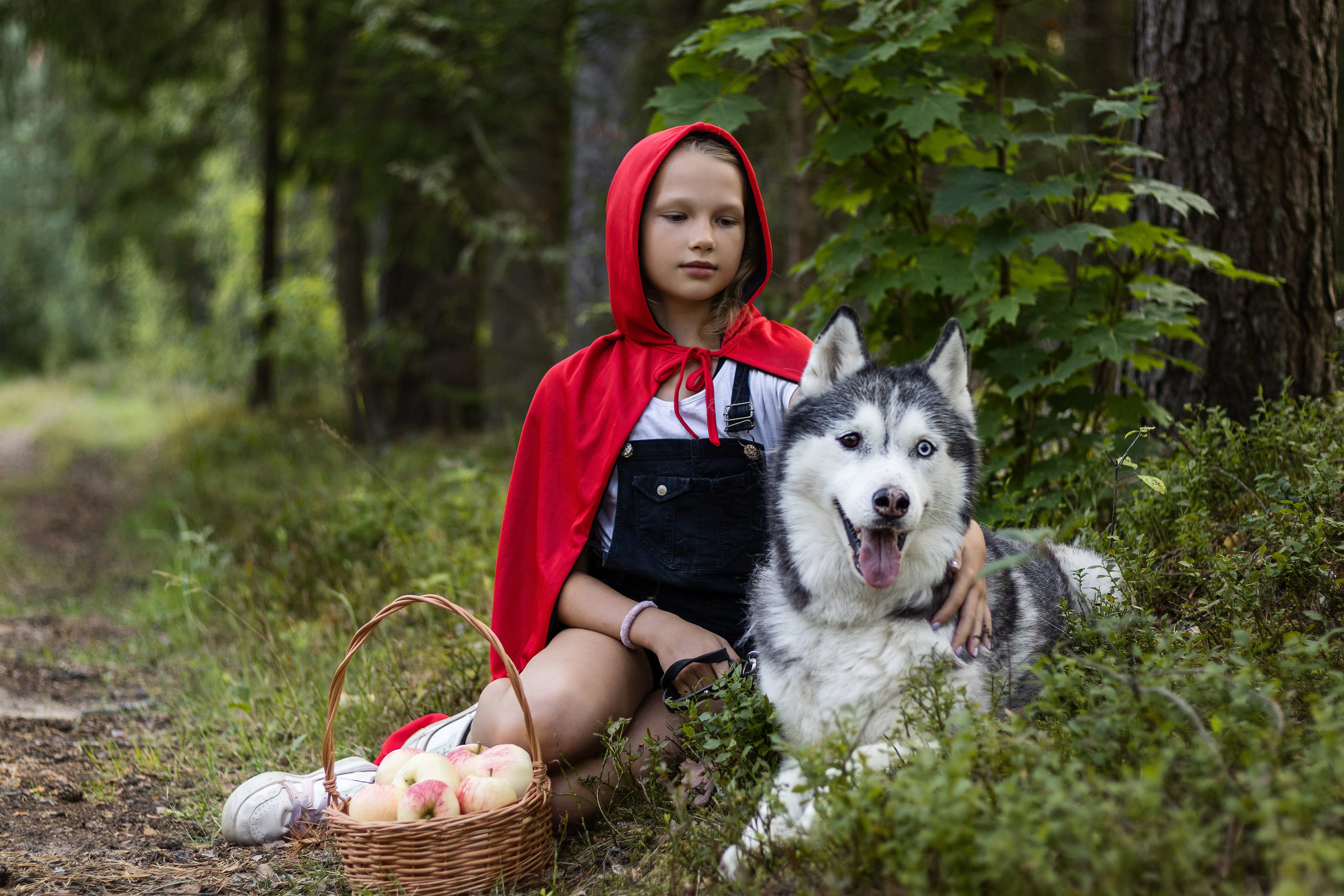 Фотосессия красная шапочка. Фотограф / Даугавпилс