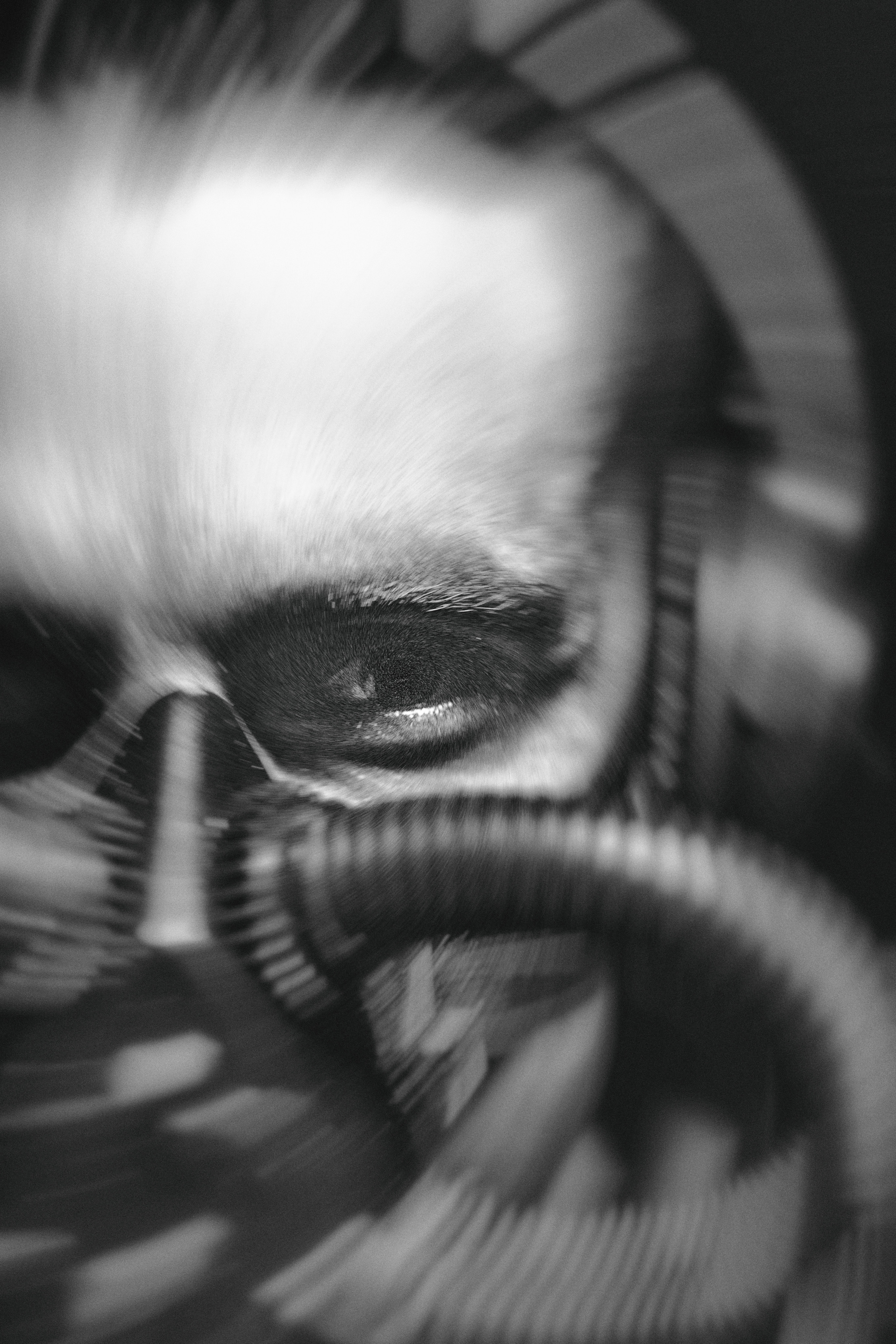 DJ Feelonof. Creative photograph in Toronto Dmitrii Bondarenko