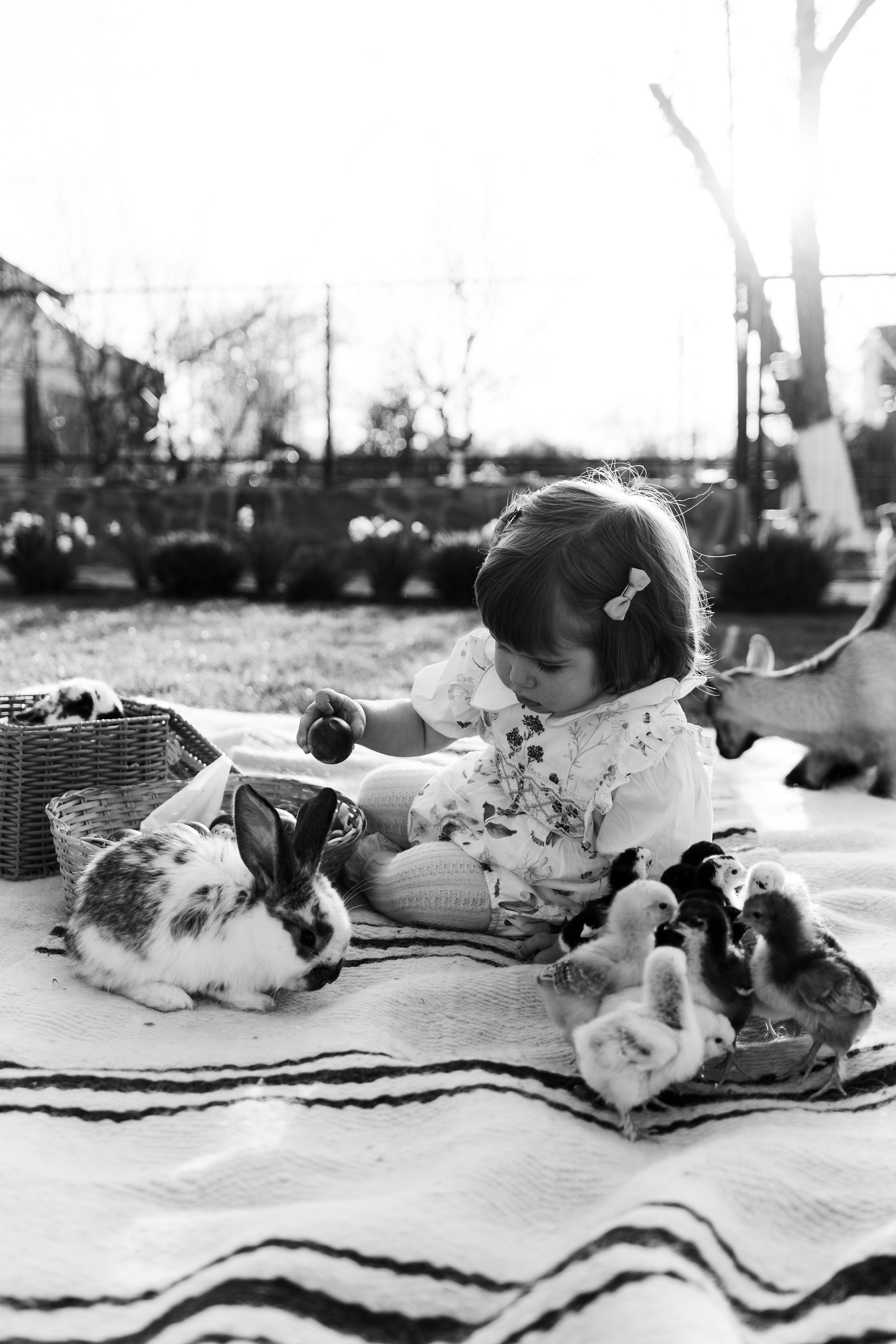 EASTER. Ars Vidi | Digital Solutions