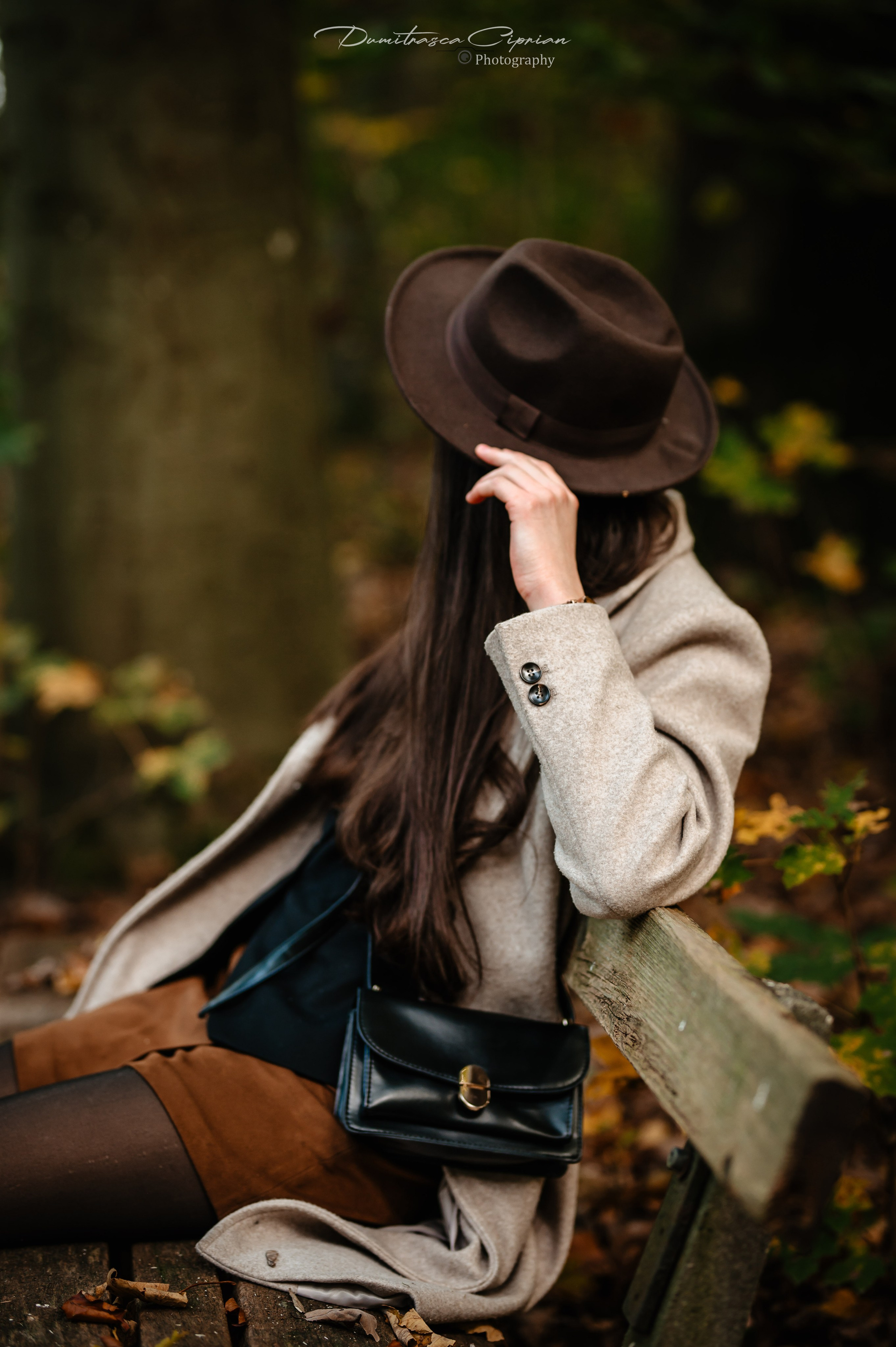 Golden Fall. Dumitrasca Ciprian Photography