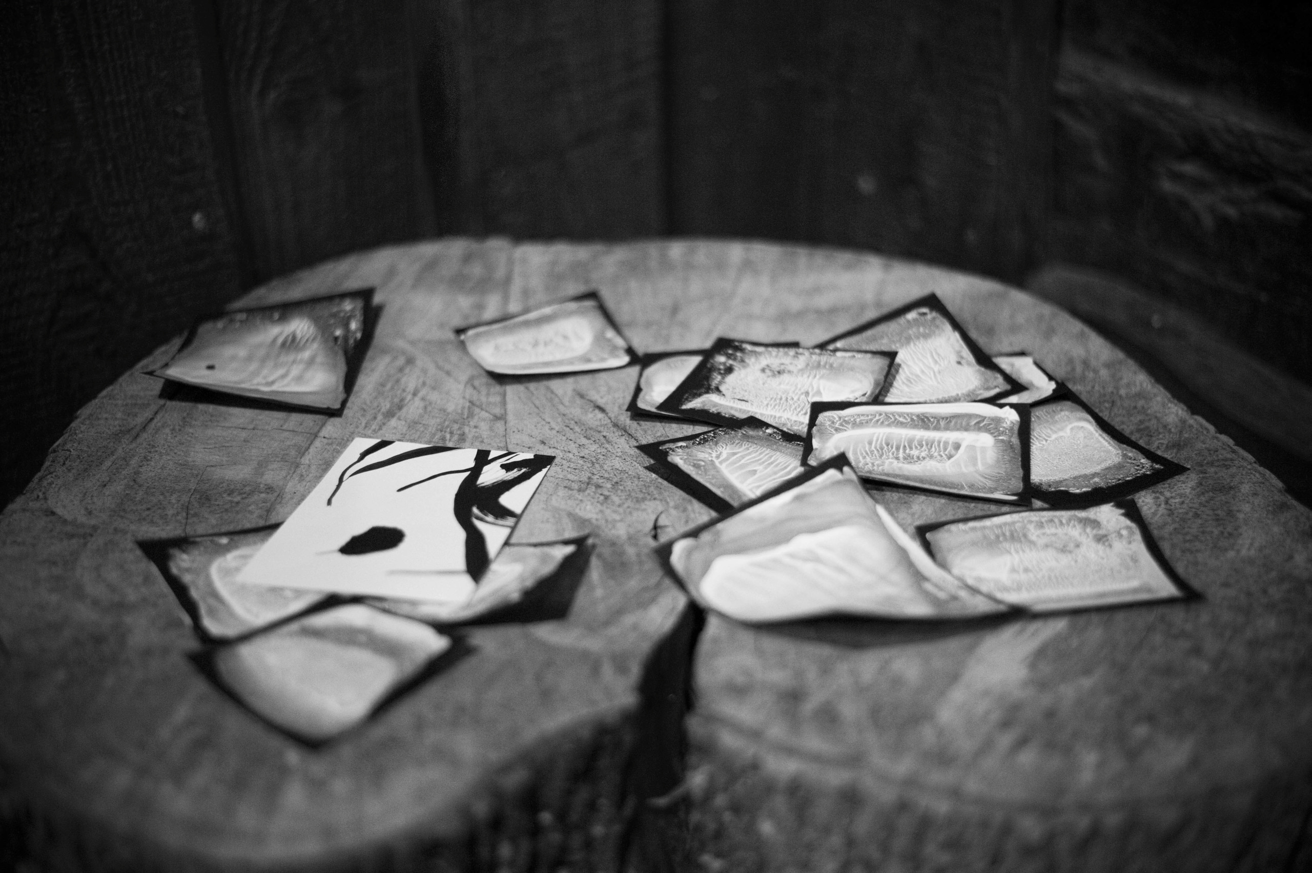 States. Artist, photographer, graphic designer, dreamer