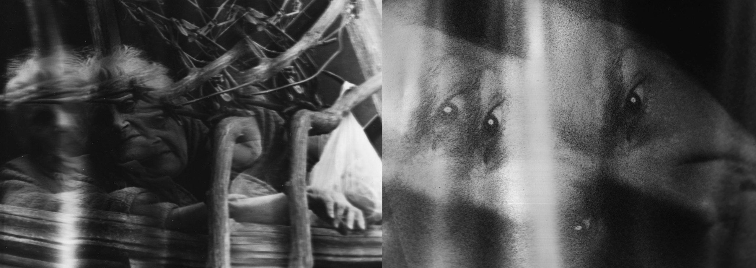 Blinking. Artist, photographer, graphic designer, dreamer