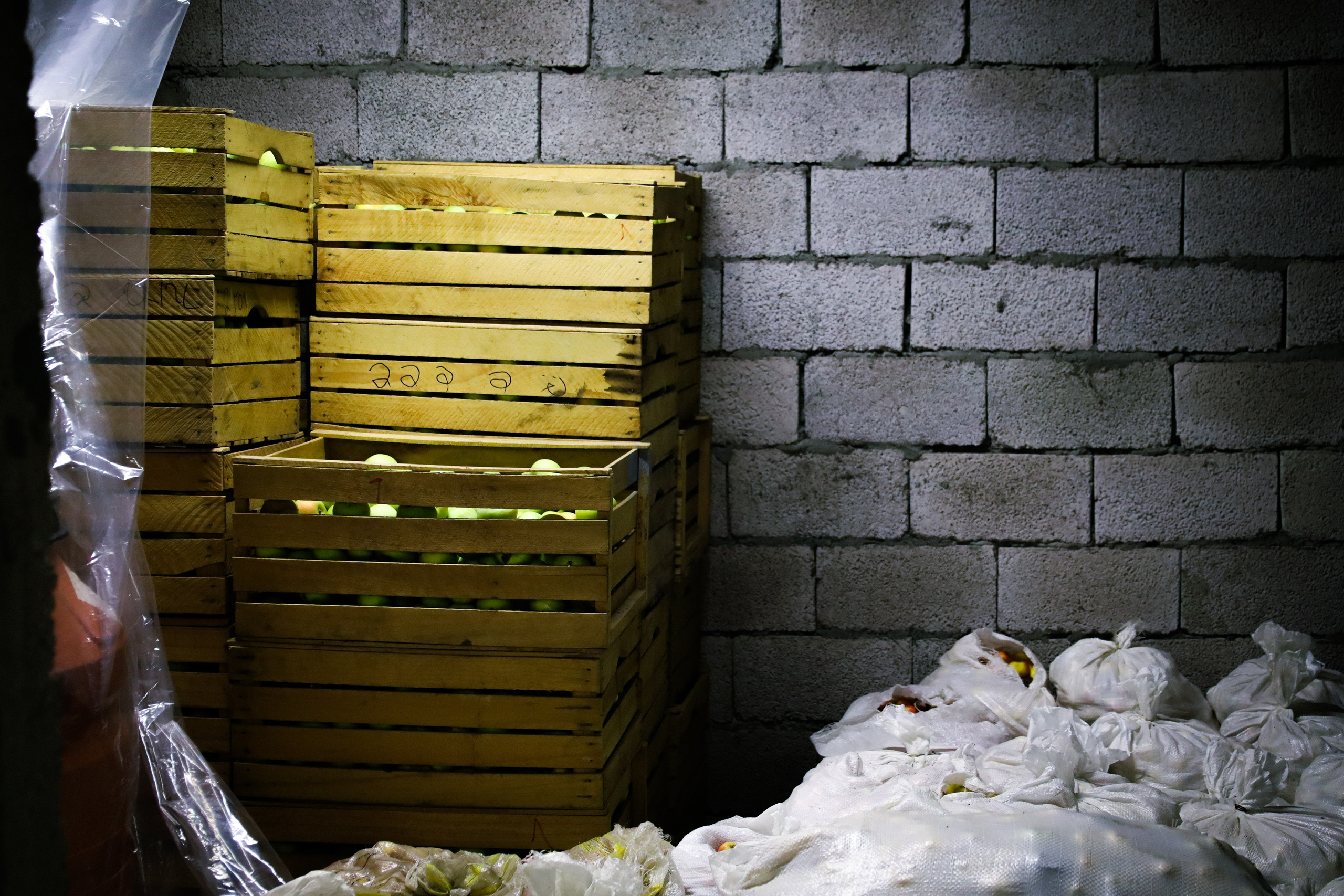 Factory reportage (hand-crafted cider). Asmikiam