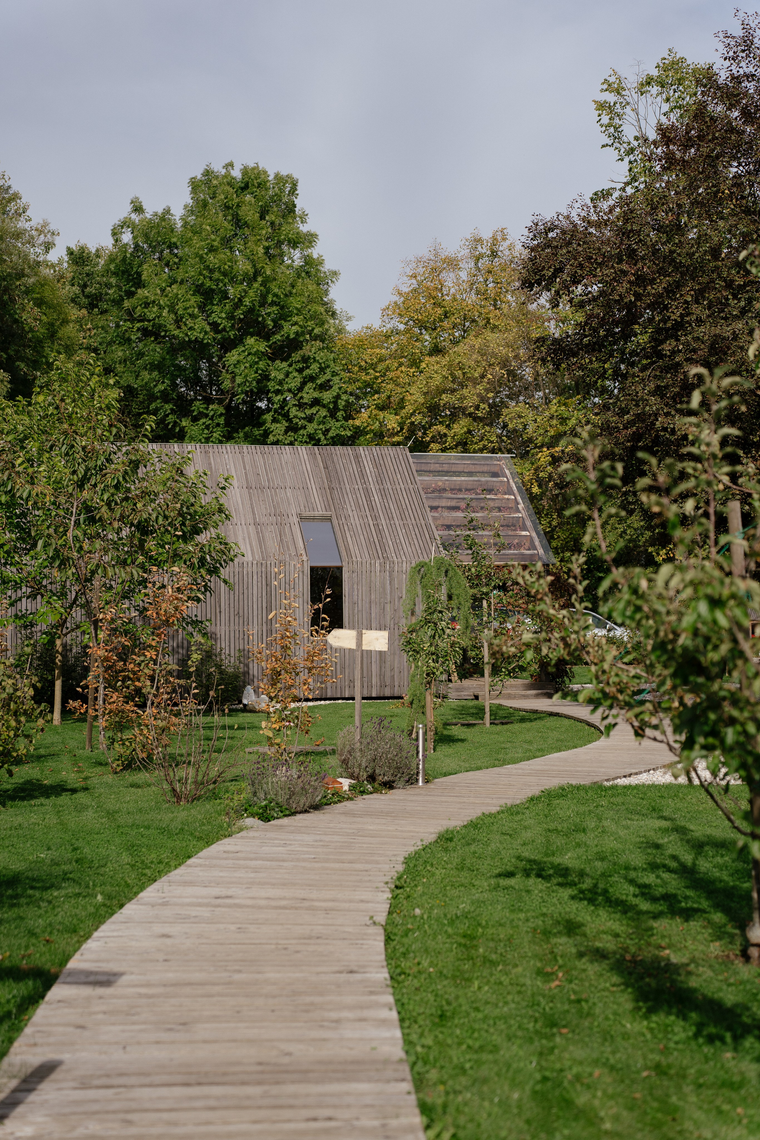 Airbnb. Patricia Morenci — Mountain Adventures for the Wild at Heart