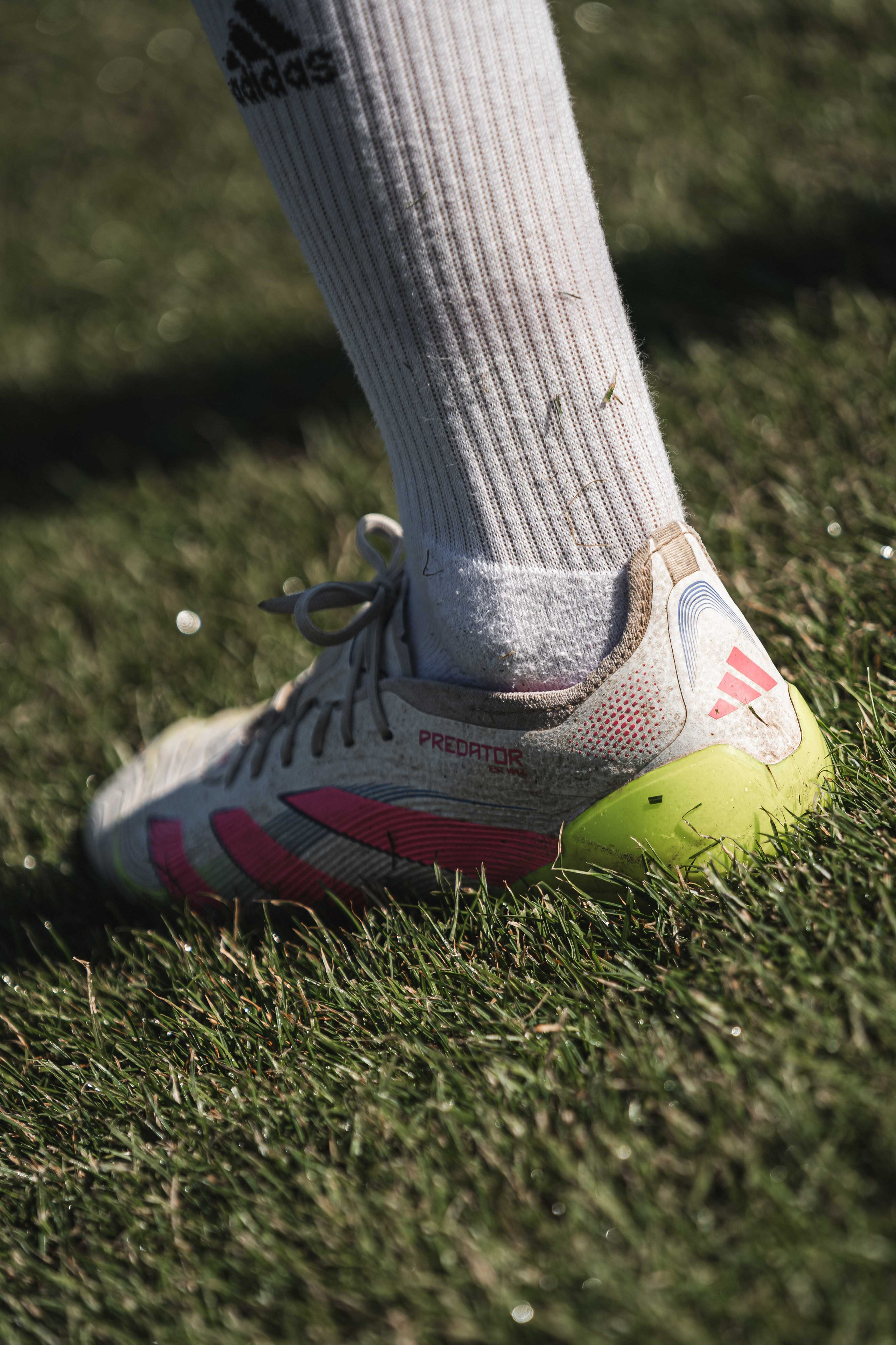 FK Sarajevo — 2025/2026