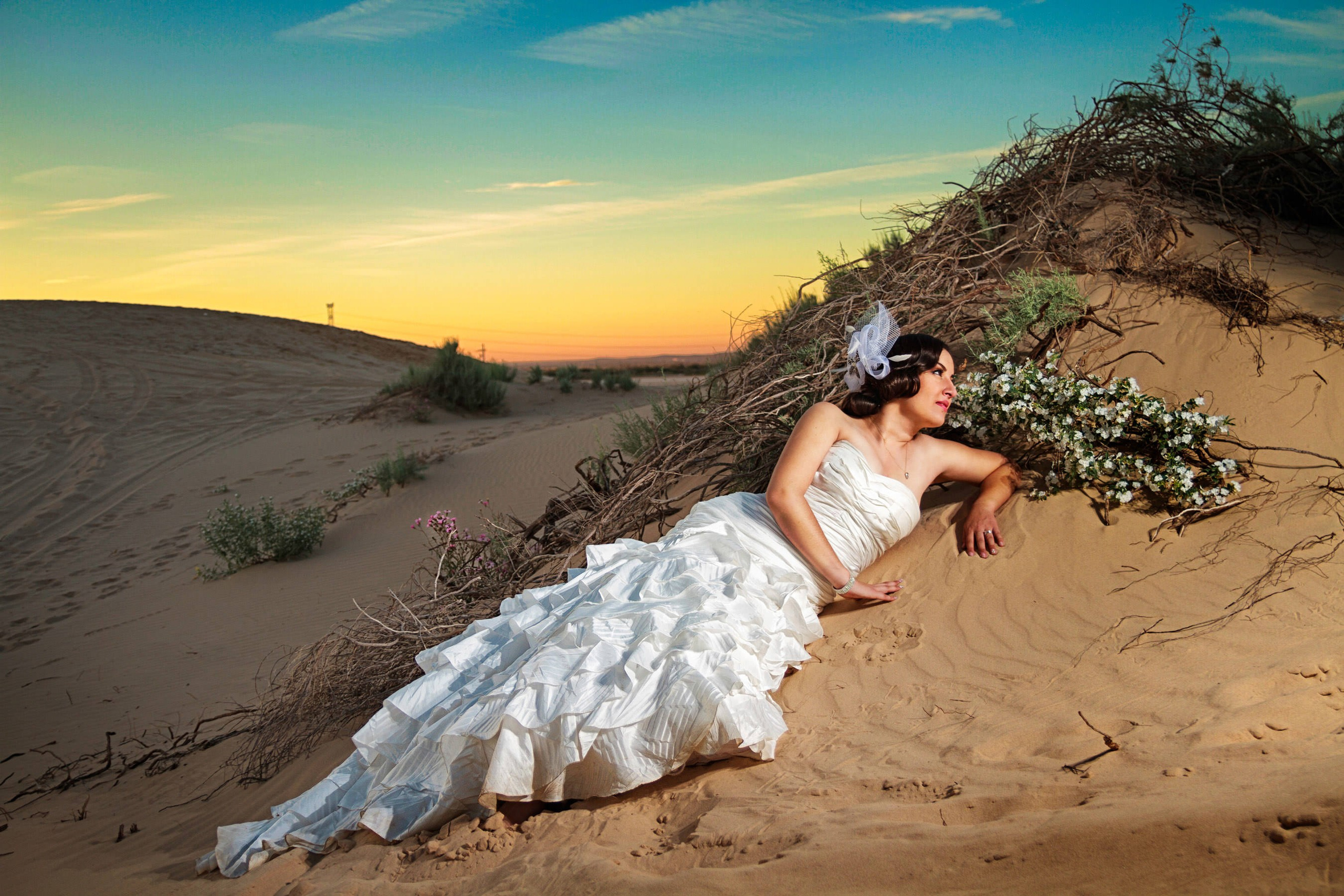 Wedding. Professional Photographer in Chihuahua, Mexico — Alex Mendoza