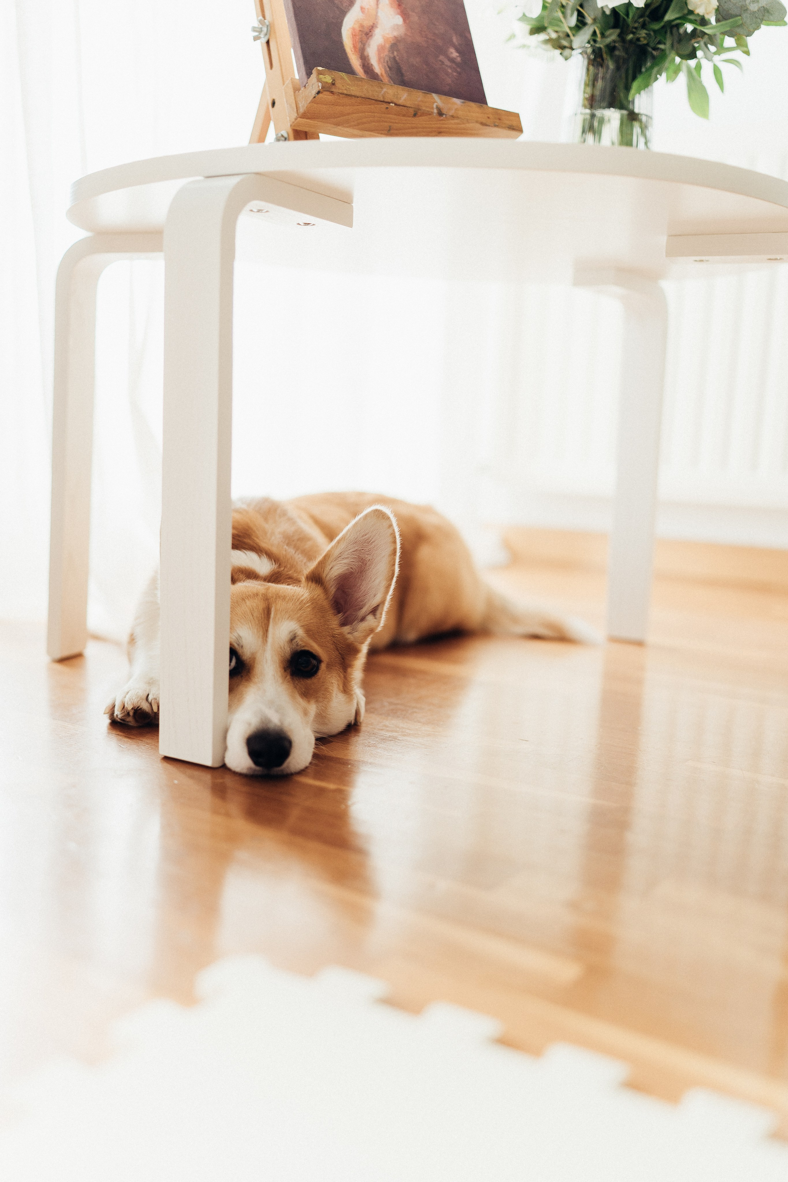 Настя, Богдан, Лео. Family photographer in Oviedo — Yana Razina