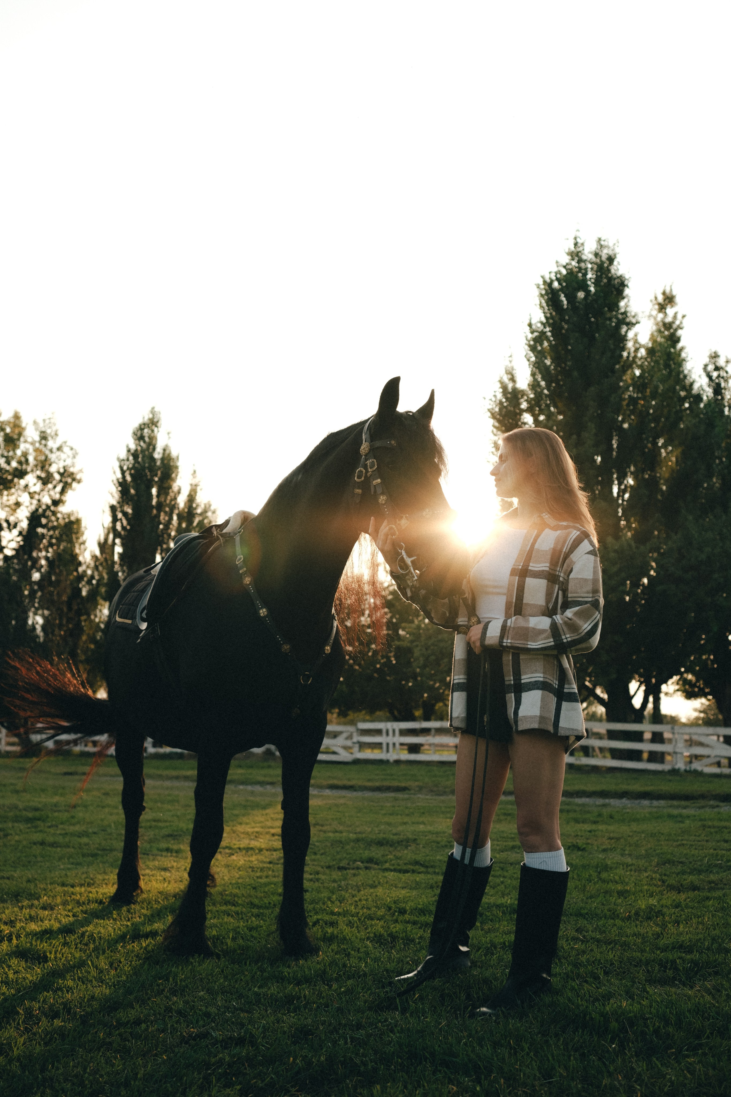 Horse photoshoot | Elena. Главная