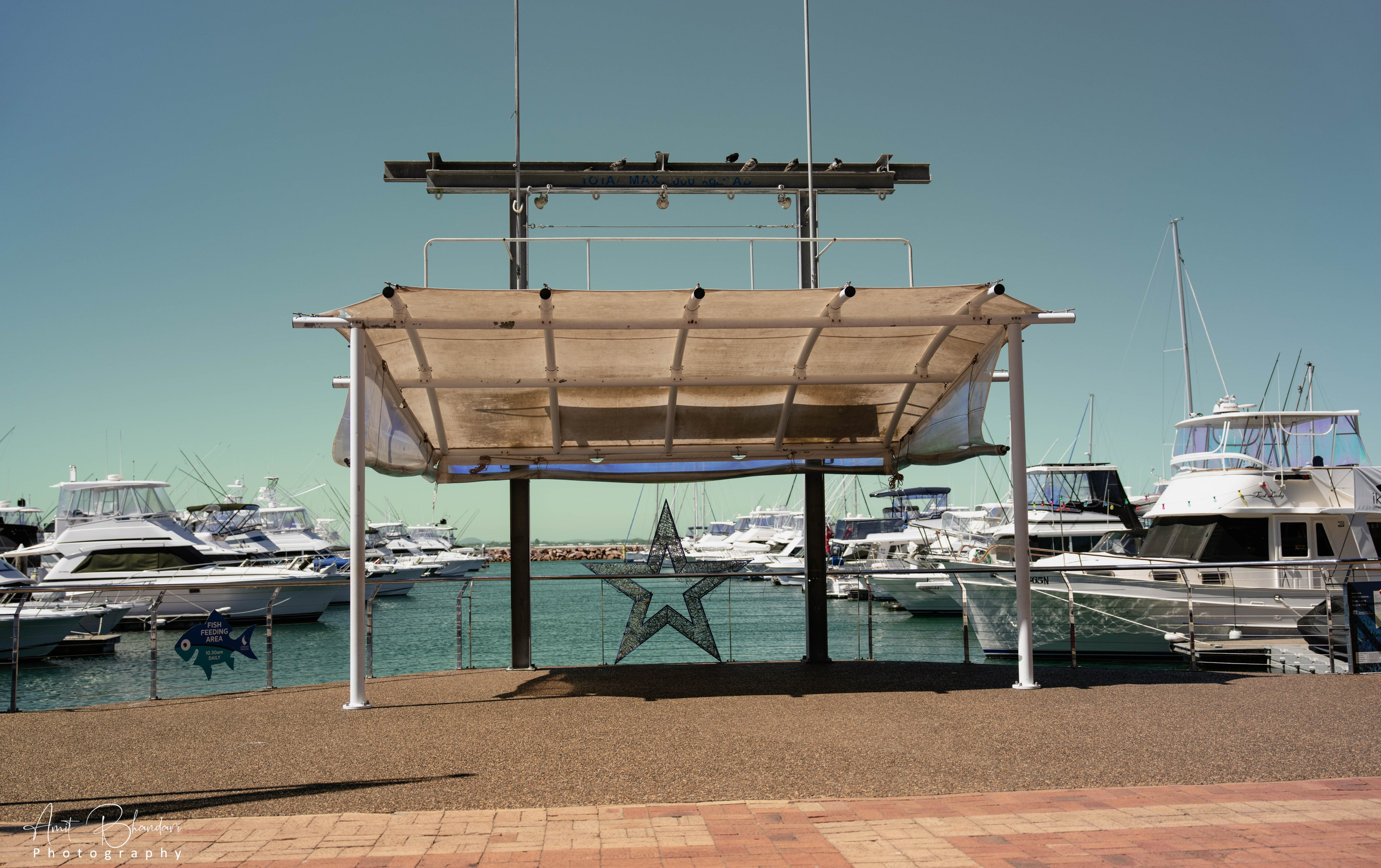 📍Newcastle & Surrounds — 🇦🇺 Beautiful Shoot Locations. Freelance Photographer in Newcastle & Central Coast