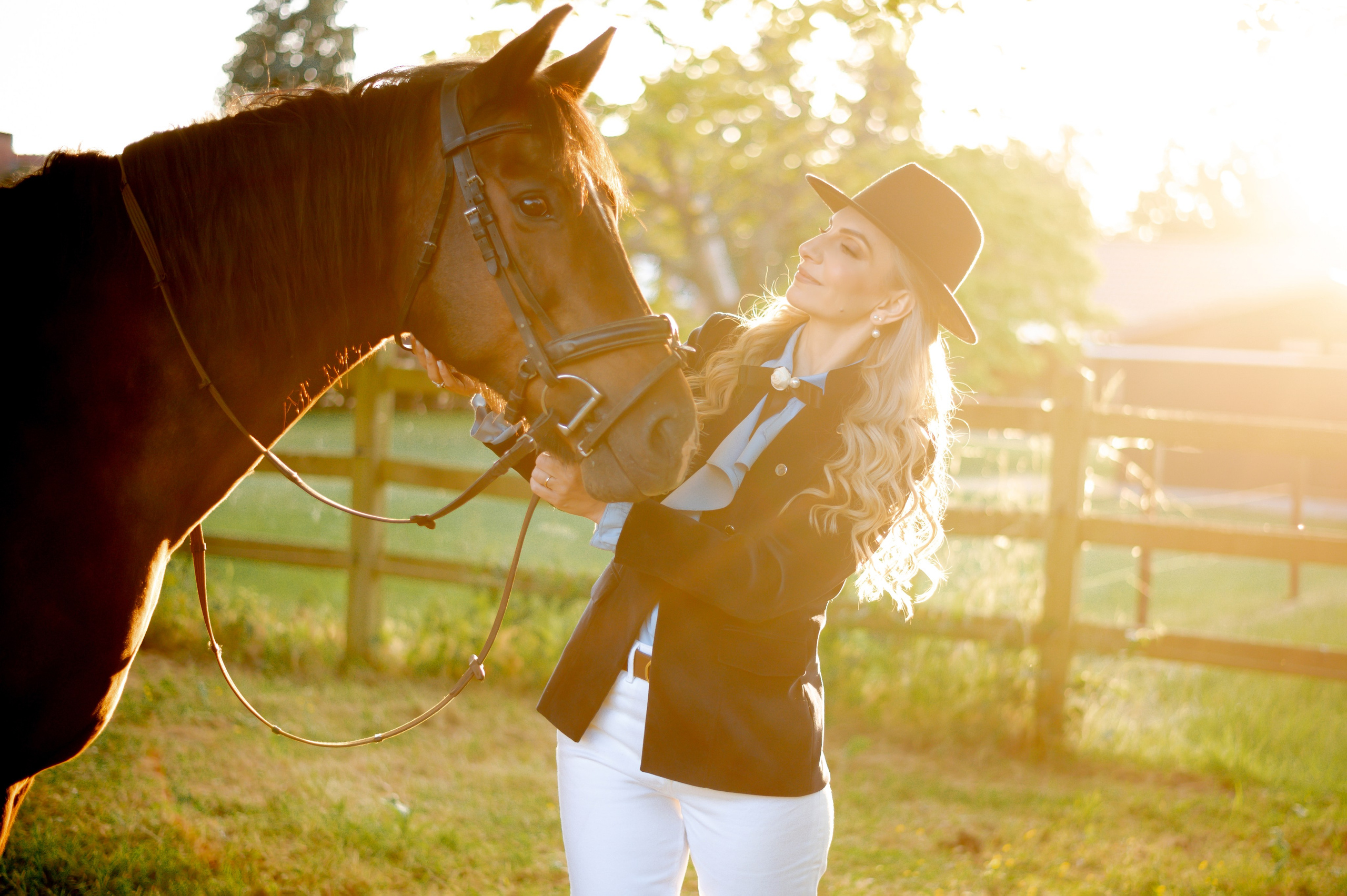 Photoshoot with Horses. Professional Photograher, Antwerpen/Belgium