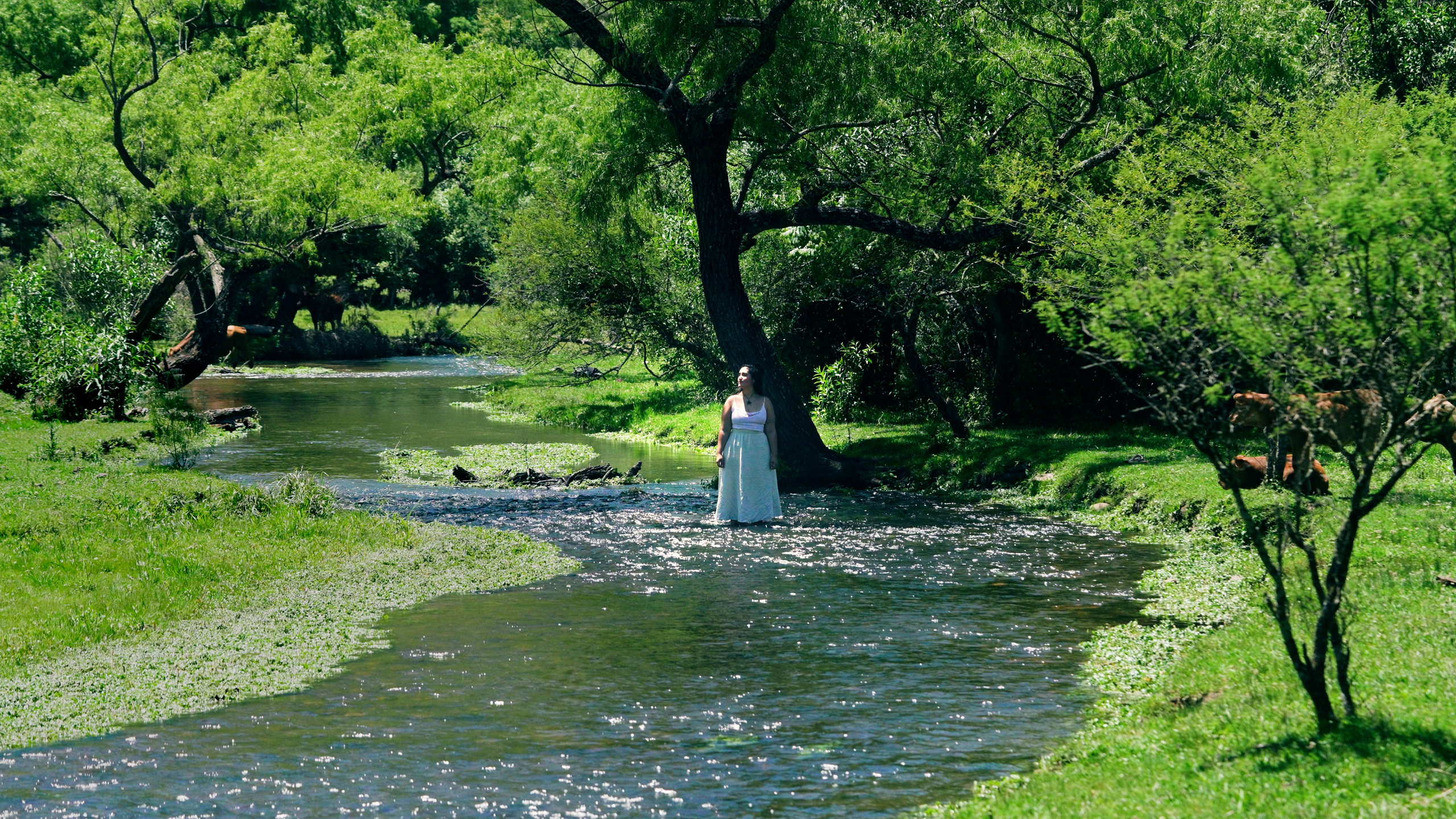 VIDEOCLIP «Río». Cuarta Pared