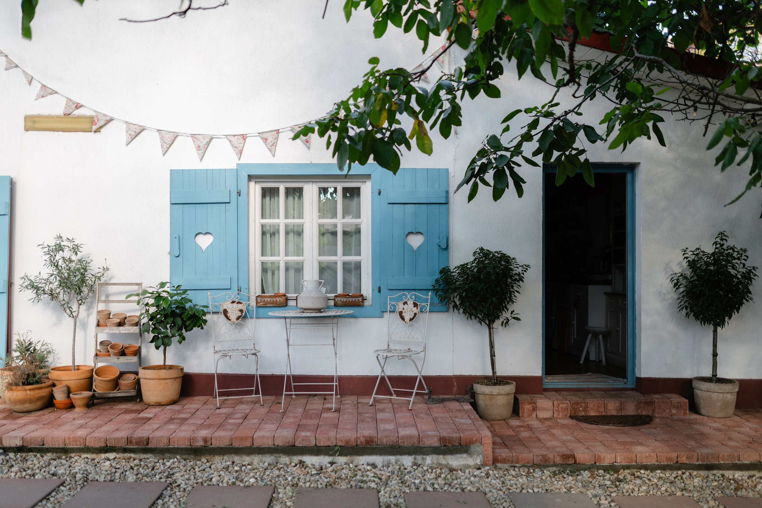 Natalia & Costin. Main