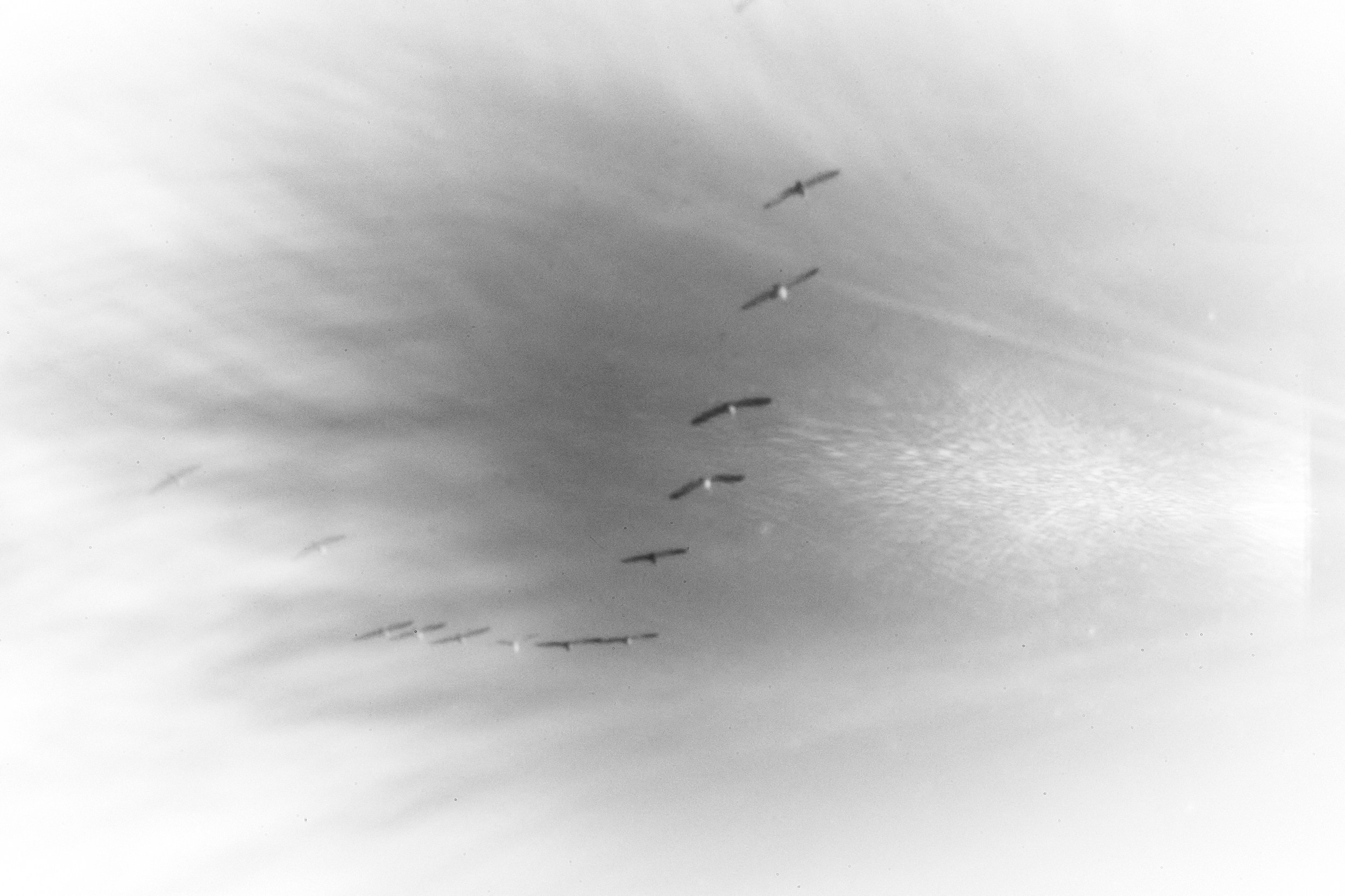 Entrance to the void-1. GLISH ART — Timofey Glinin & Anastasia Shubina