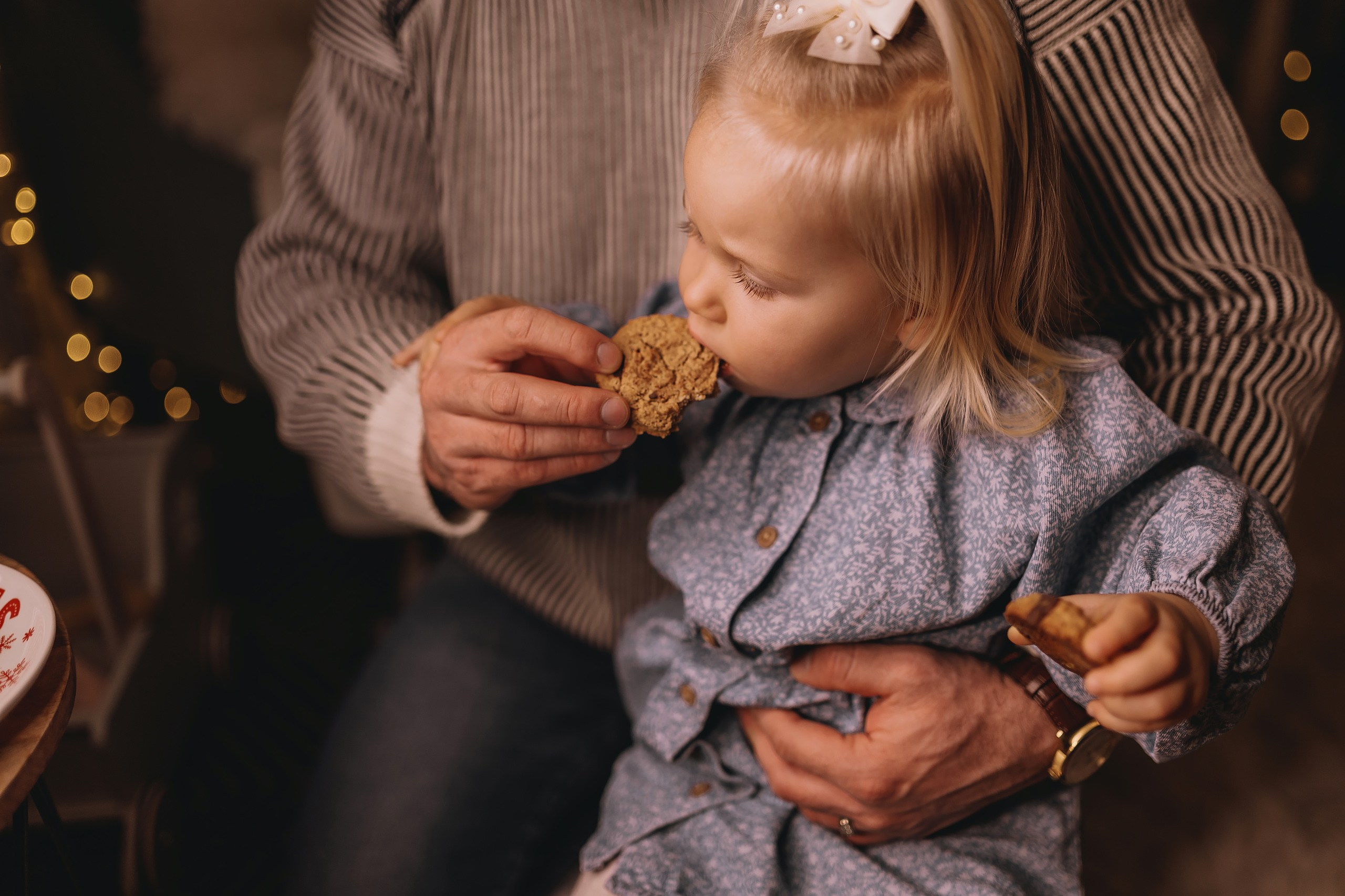 12.08.2025 Christmas Photoshoot. Wedding family event photographer in Chicago Nick Yushevich