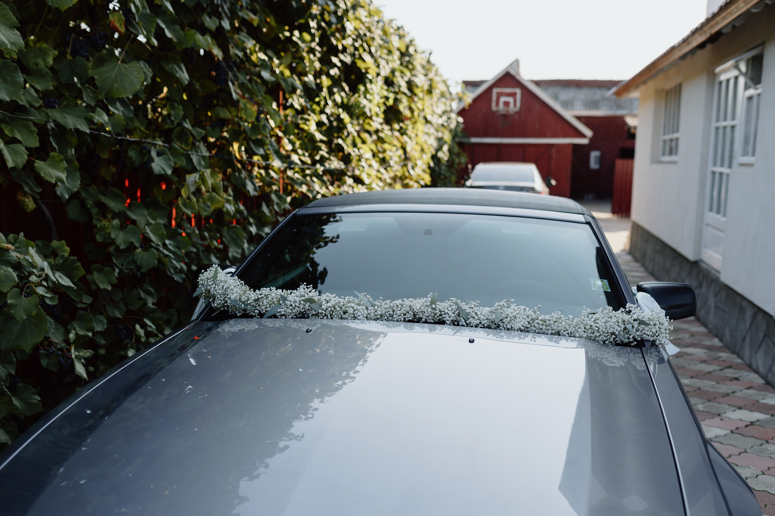 Iustin & Fabiana. Main