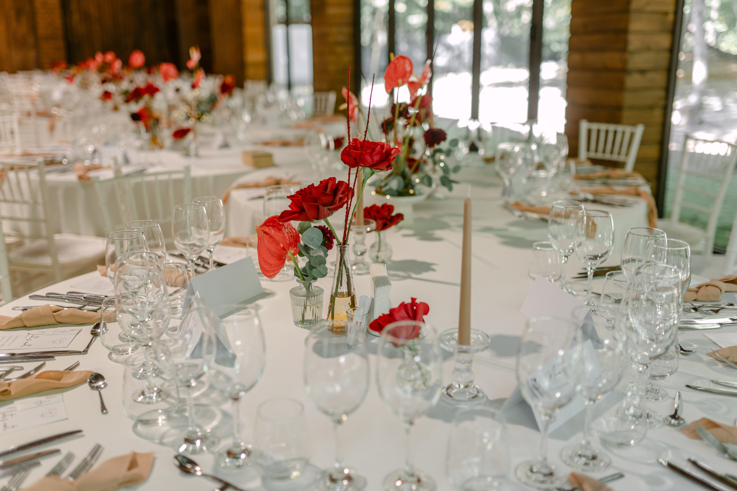 Corina | Alex. Gabrielacojocariu.com