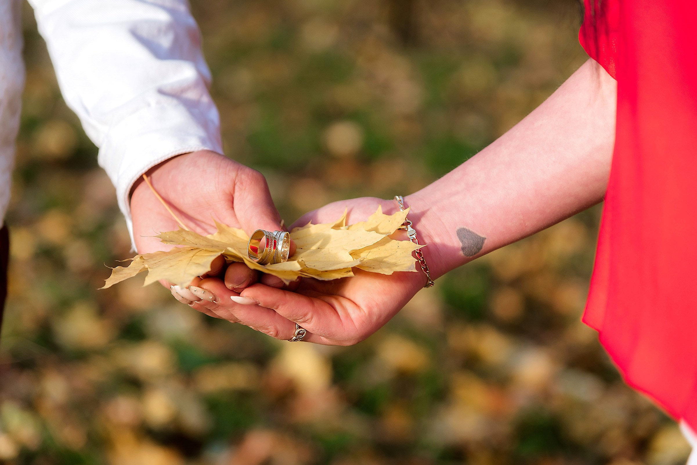 Fotograf Nunta Save The Date Craiova Pitesti 2024