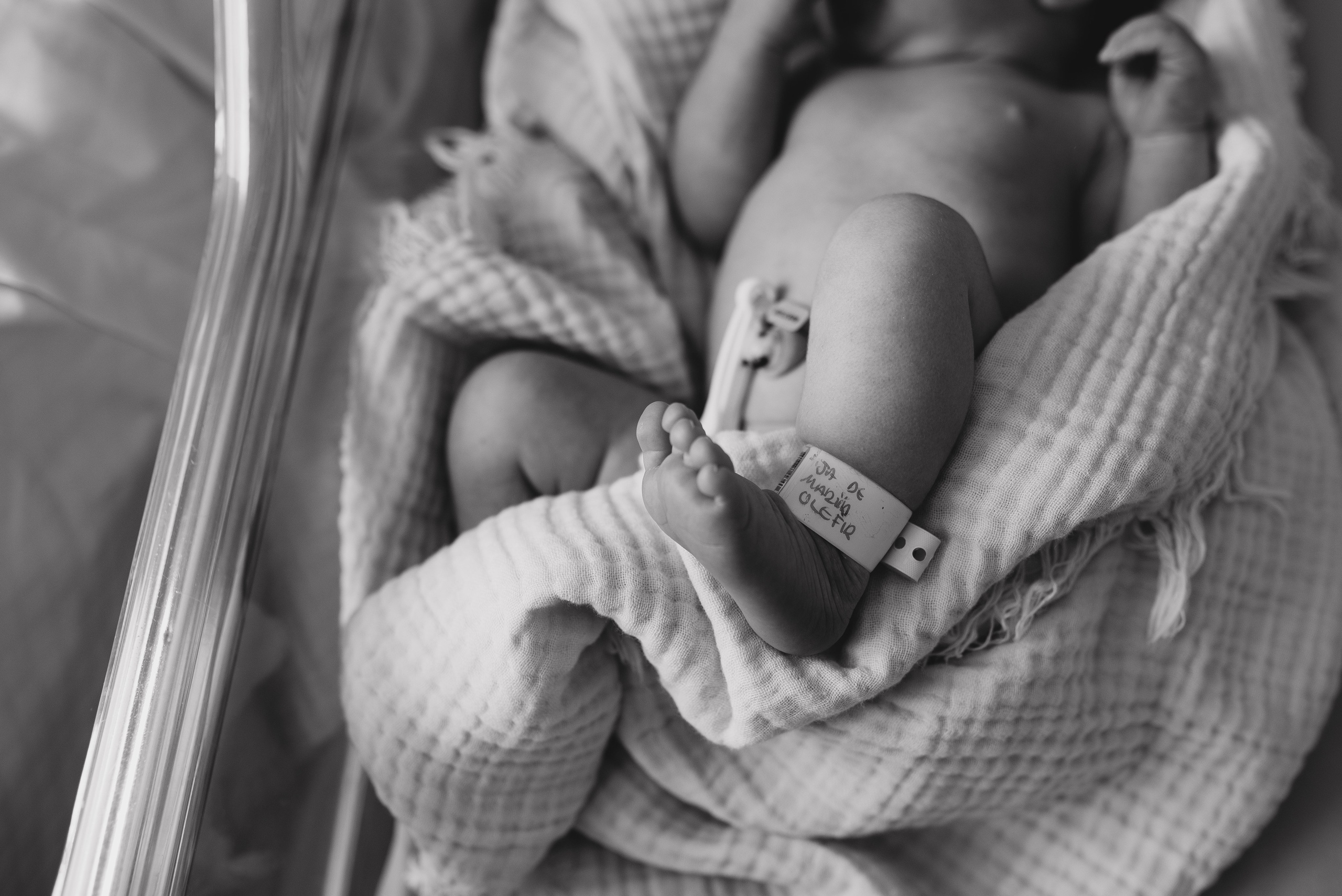 Fresh 48. Https://newbornphoto.wfolio.pro/me