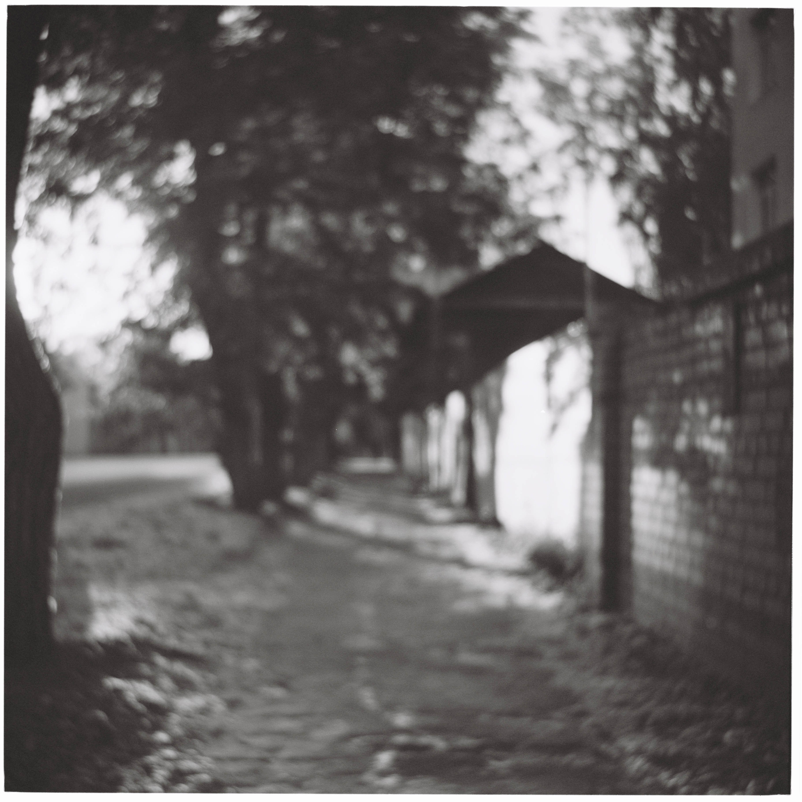 FADE. «Фотохроники»