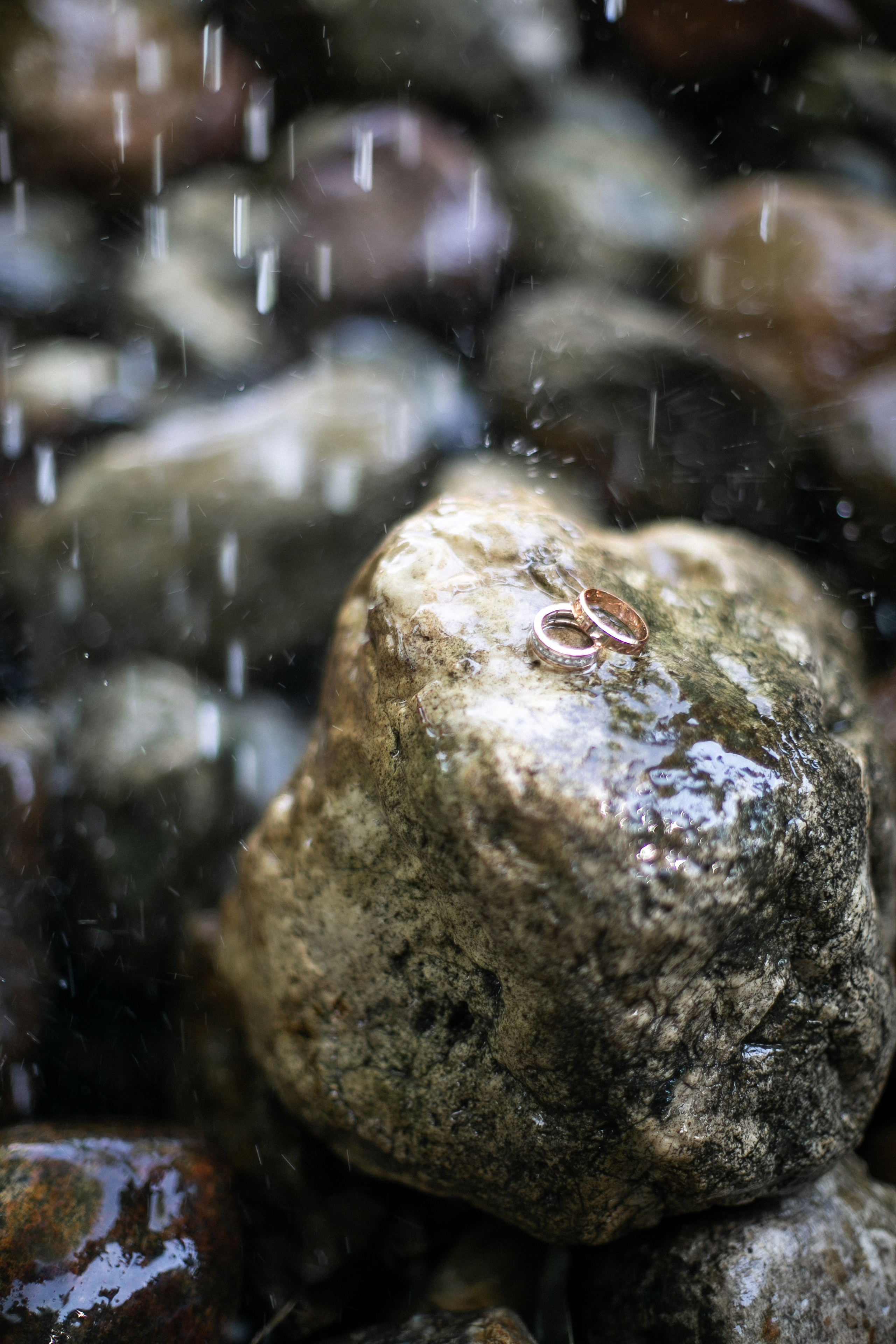 E & M. Photographer Vlad Boytsoff