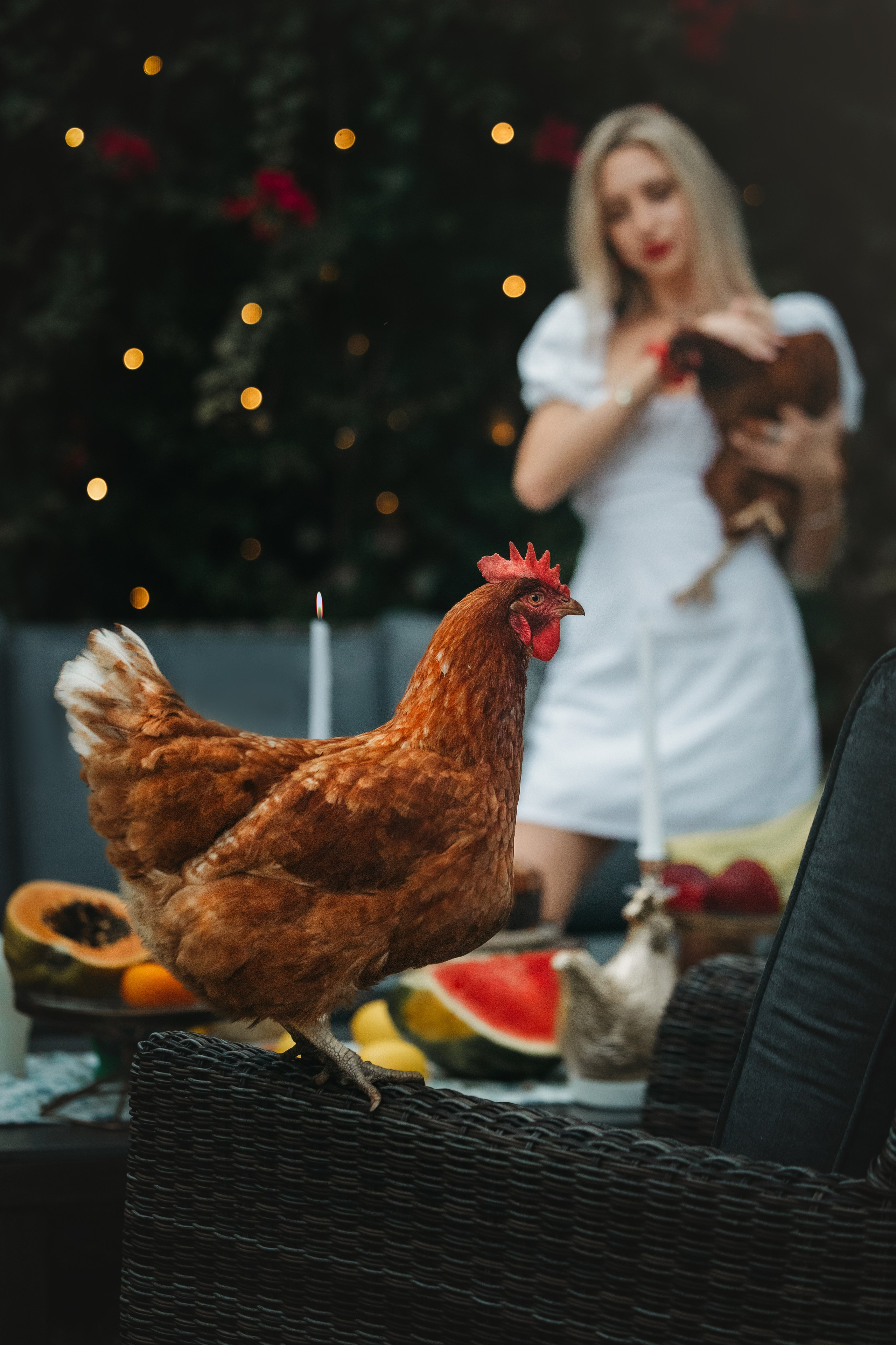 Pet Photographer Viktoriya Aleshenko