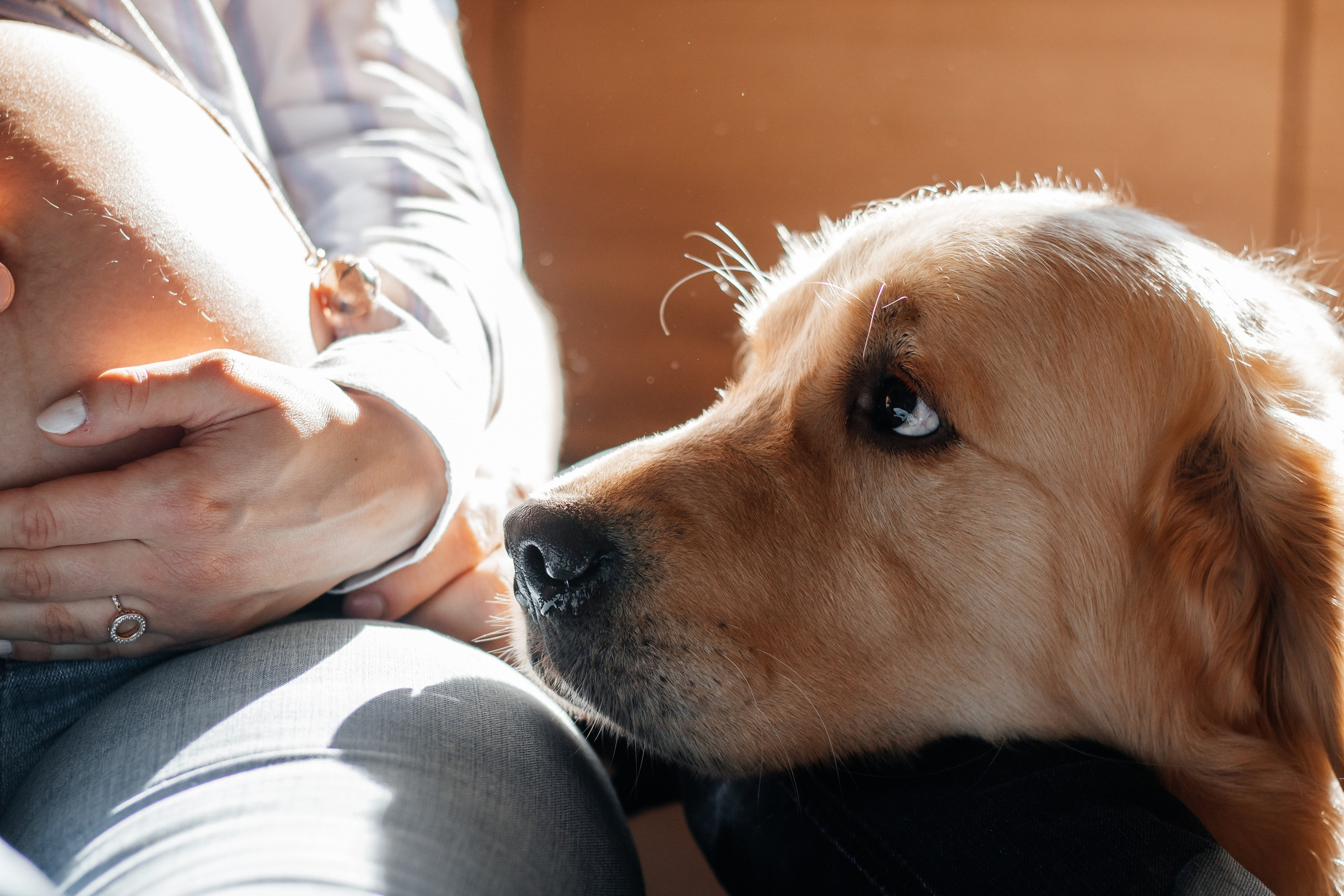L’Amour qui Grandit. Photographe à Chartres Ekaterina Kudinova