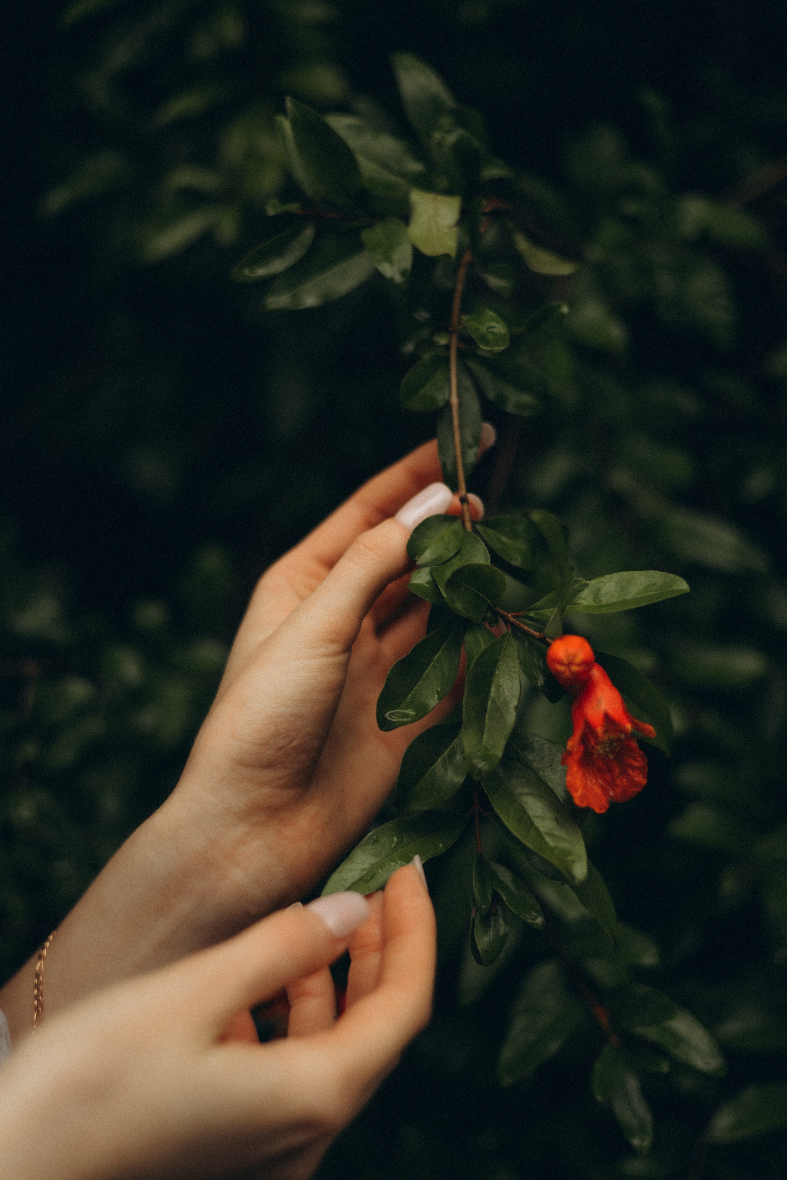 Sandra. Daria Sazanova — Portrait photographer in Bratislava and Vienna