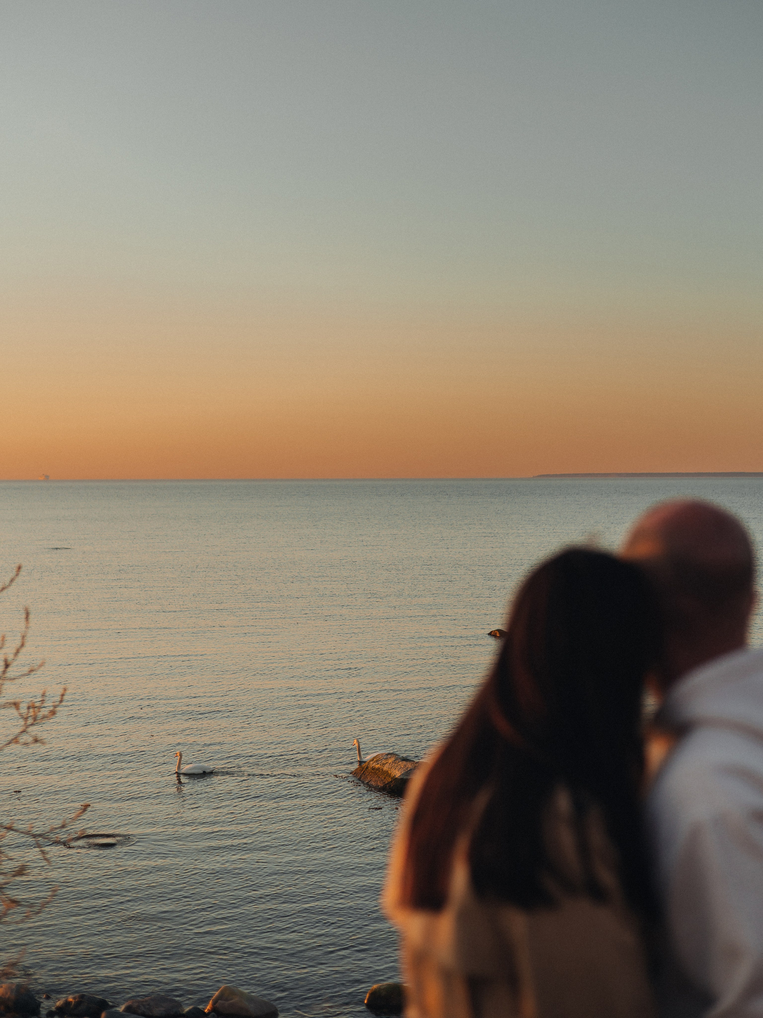 Анна и Артём. Семейный фотограф в Таллинне Дарья Кивимейстер