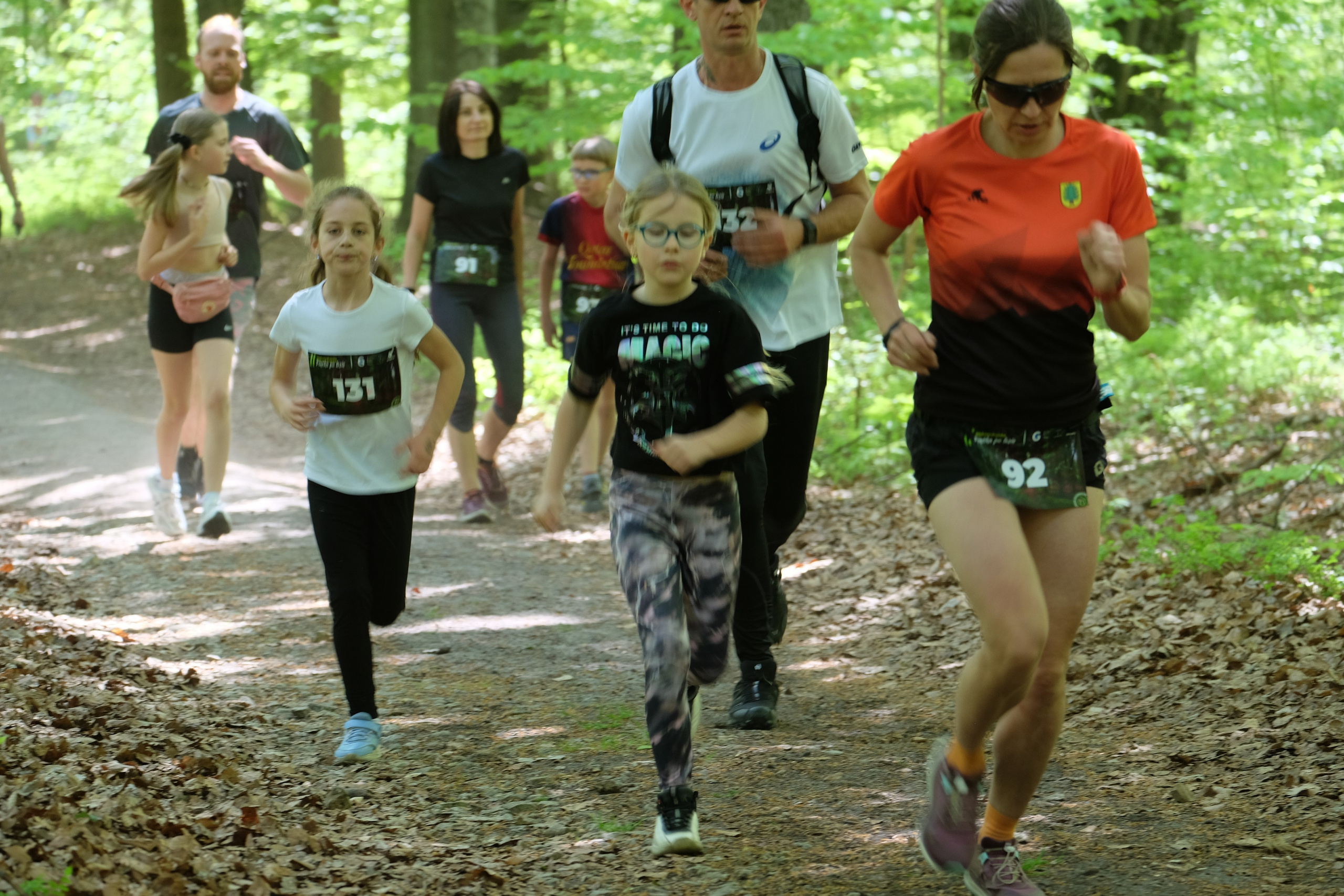 Aleksandryjska Piątka po lesie. Main