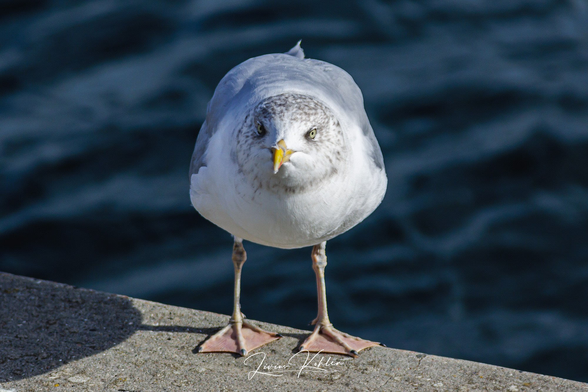 Schweden. FOTO KREATIV