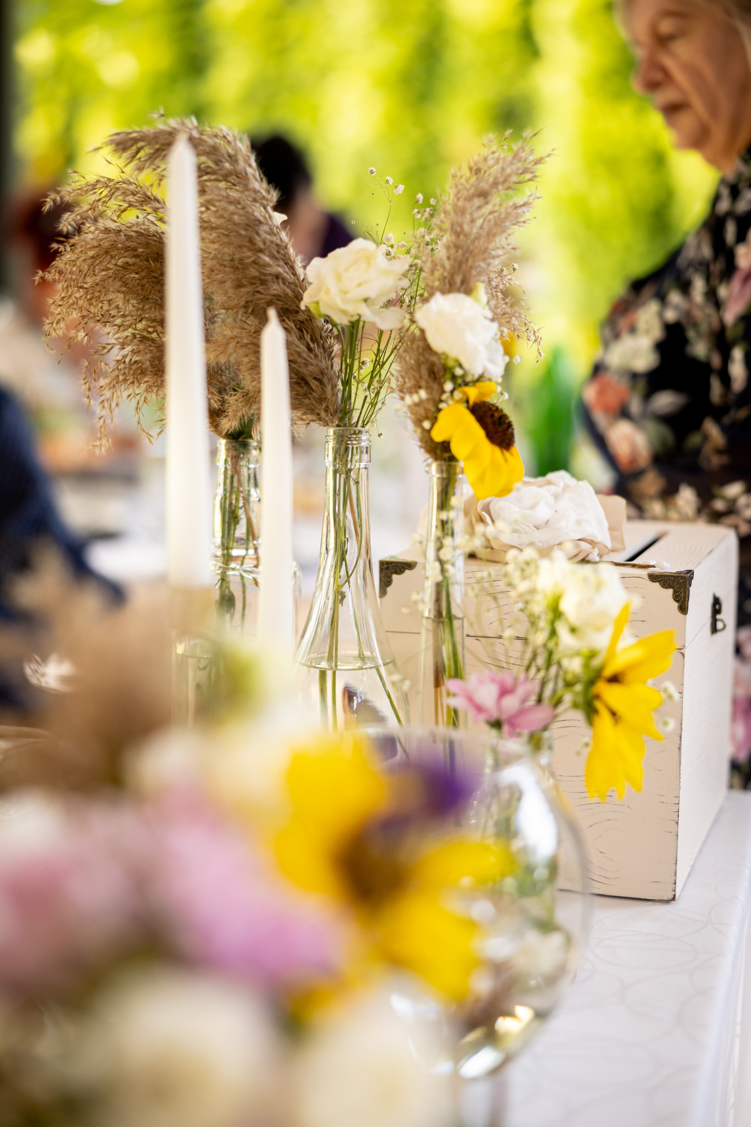 Vanja&Goran. Fotografisanje svadbi, Novi Sad|Dream Point Wedding