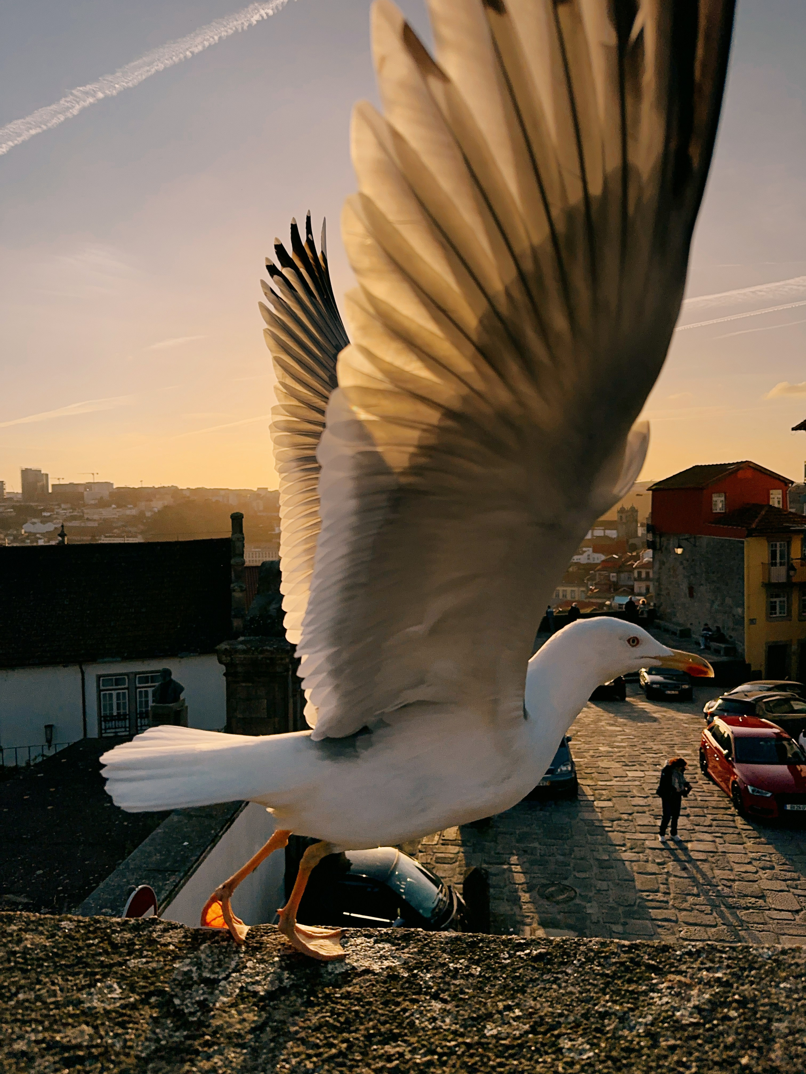 Mobilography. Artem Avanesov. Visual Content Creator