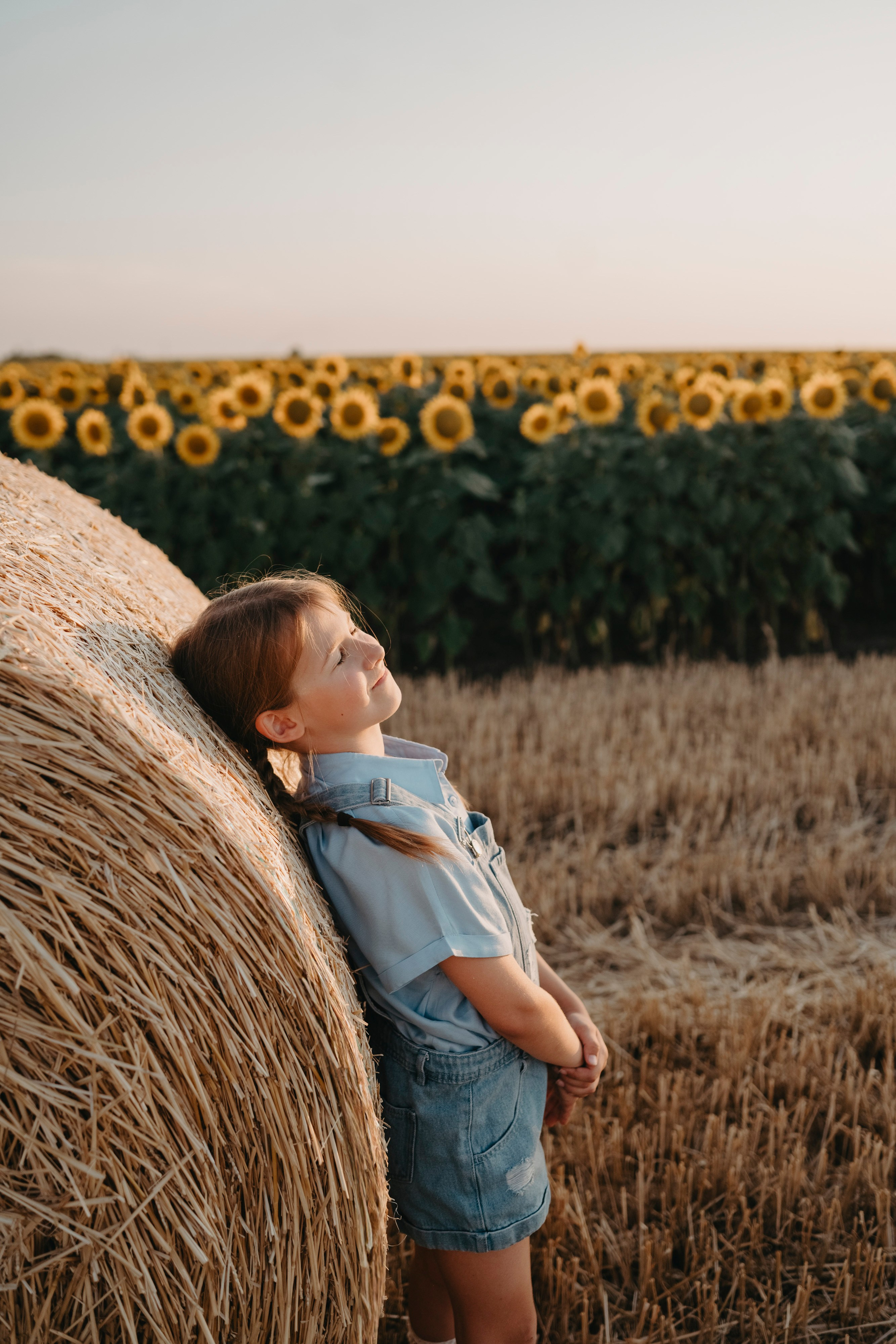 Letnje fotografisanje u polju suncokreta i sena. Deciji i porodicni fotograf u Beogradu Oksana Skendzic