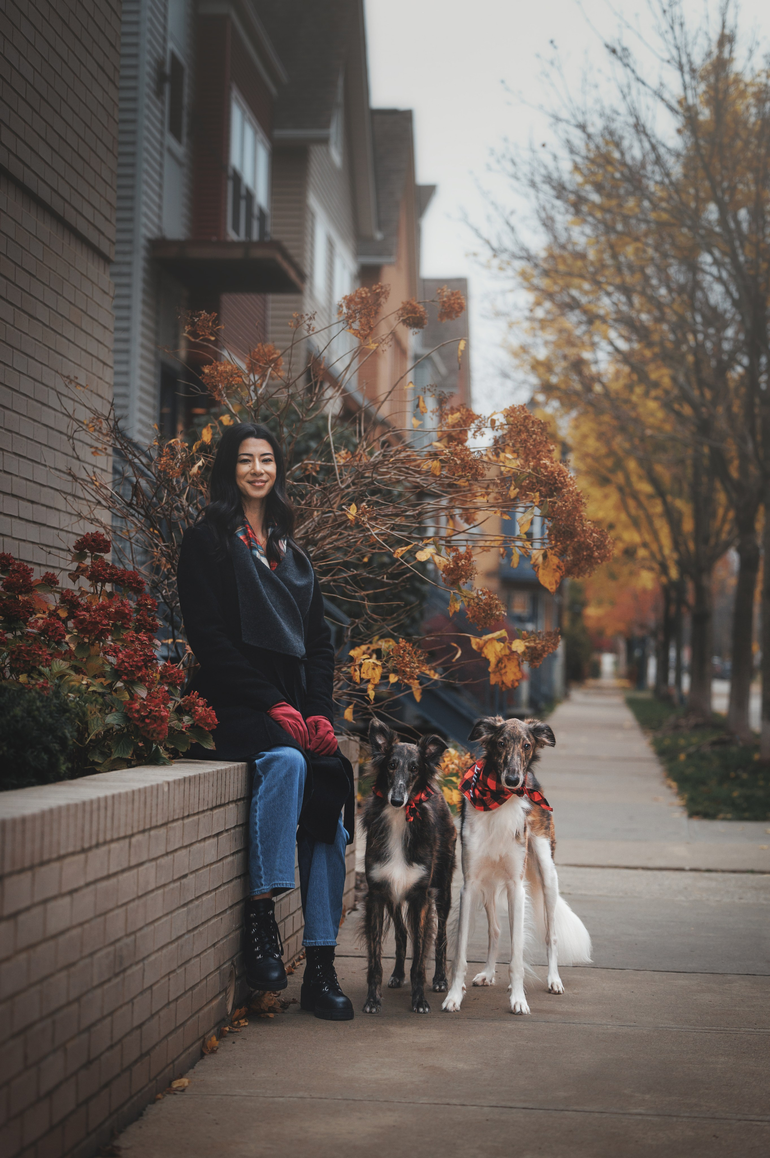 Luca, Oren & Mia. Pet Photographer Viktoriya Aleshenko