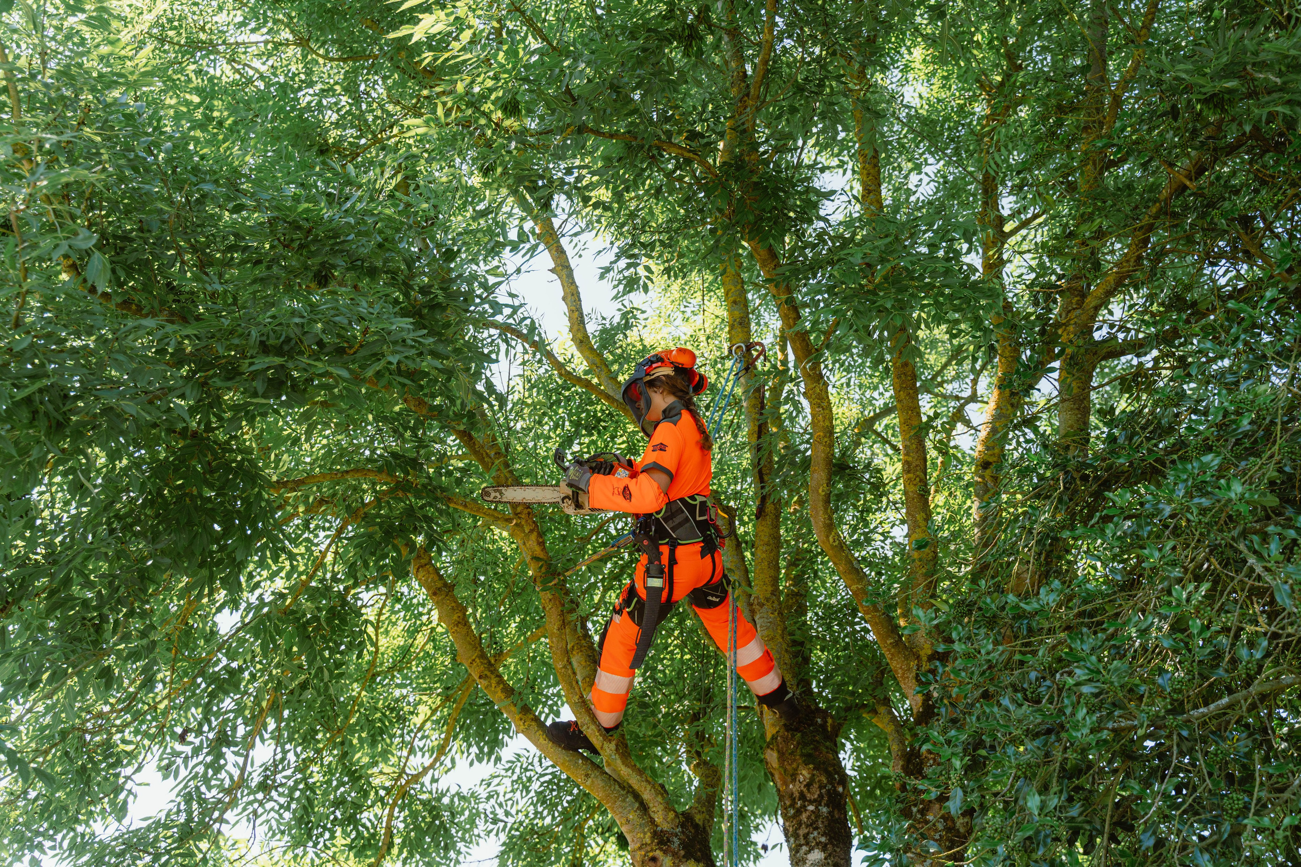 Solidur. Weeding photographer / event / portrait