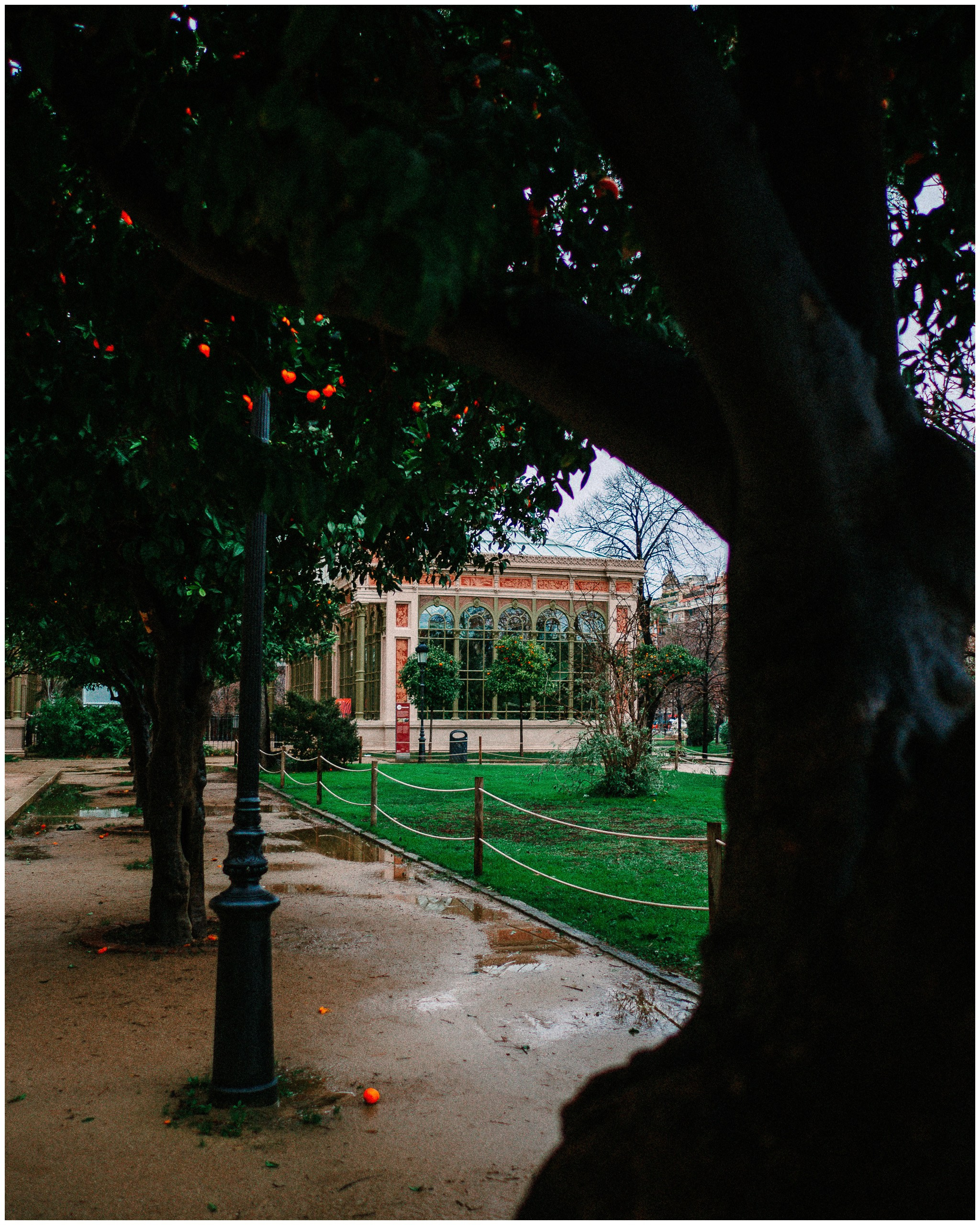 BARCELONA. Inna Mendelson — Photographer