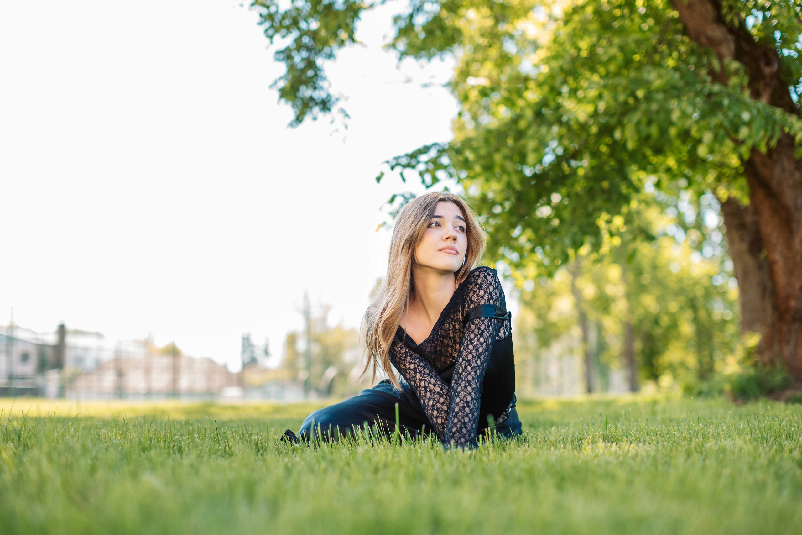 12F — Pedagogic. Contrast Studio