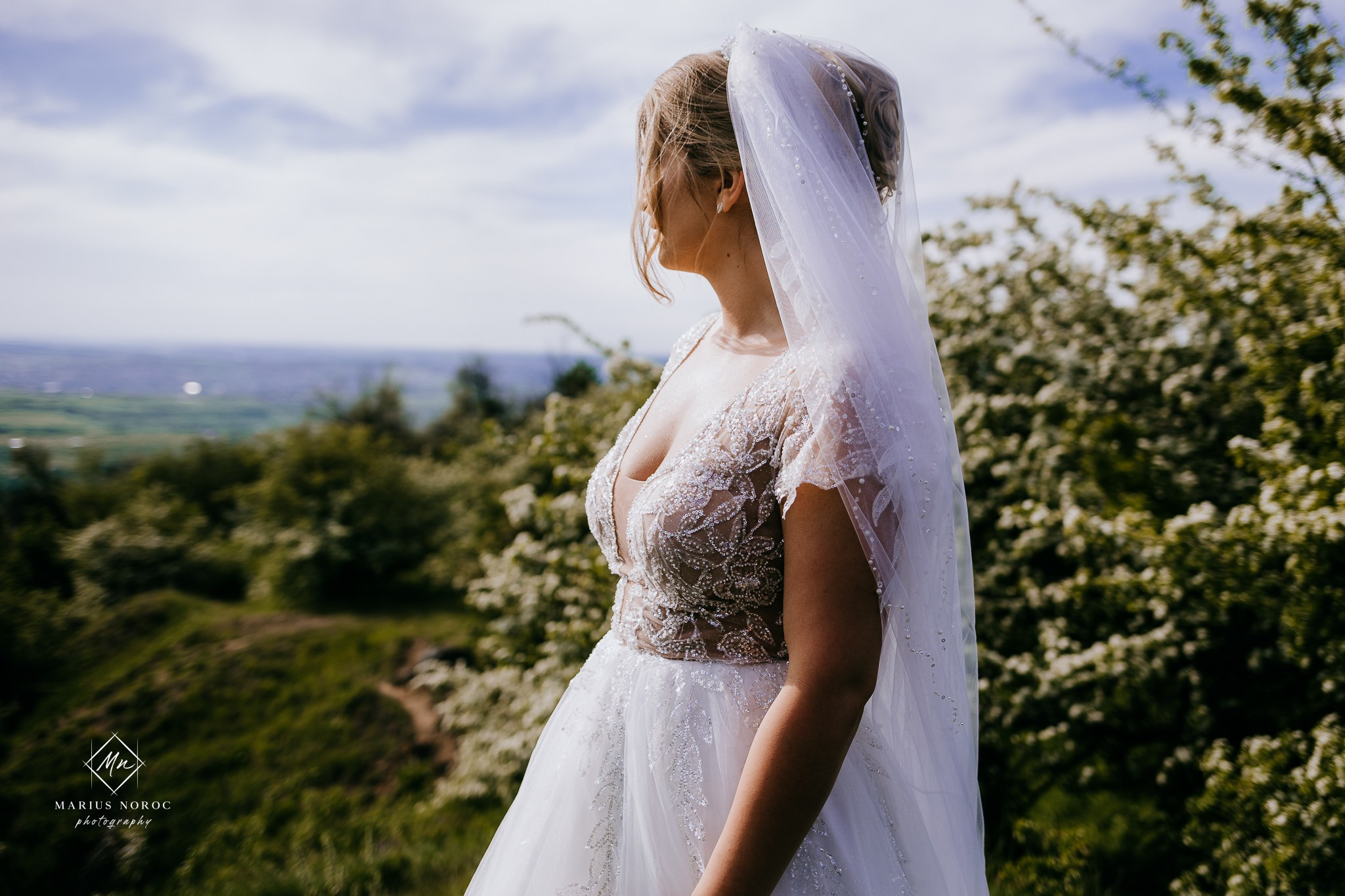 Roxana & Ionut | Padurea Bucium Iasi