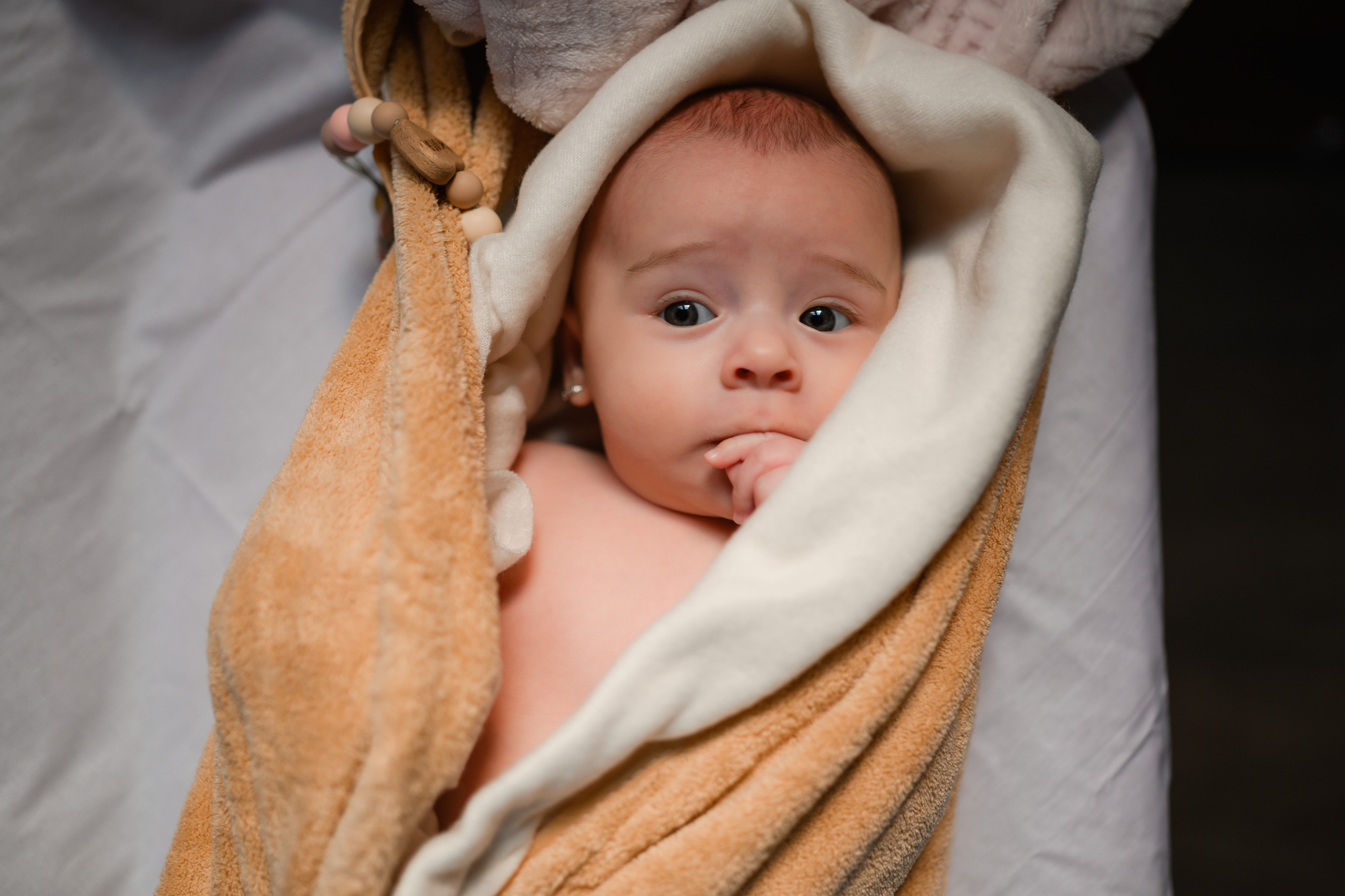 Ariana Giulia. Erik Bagy | Fotograf de Nuntă