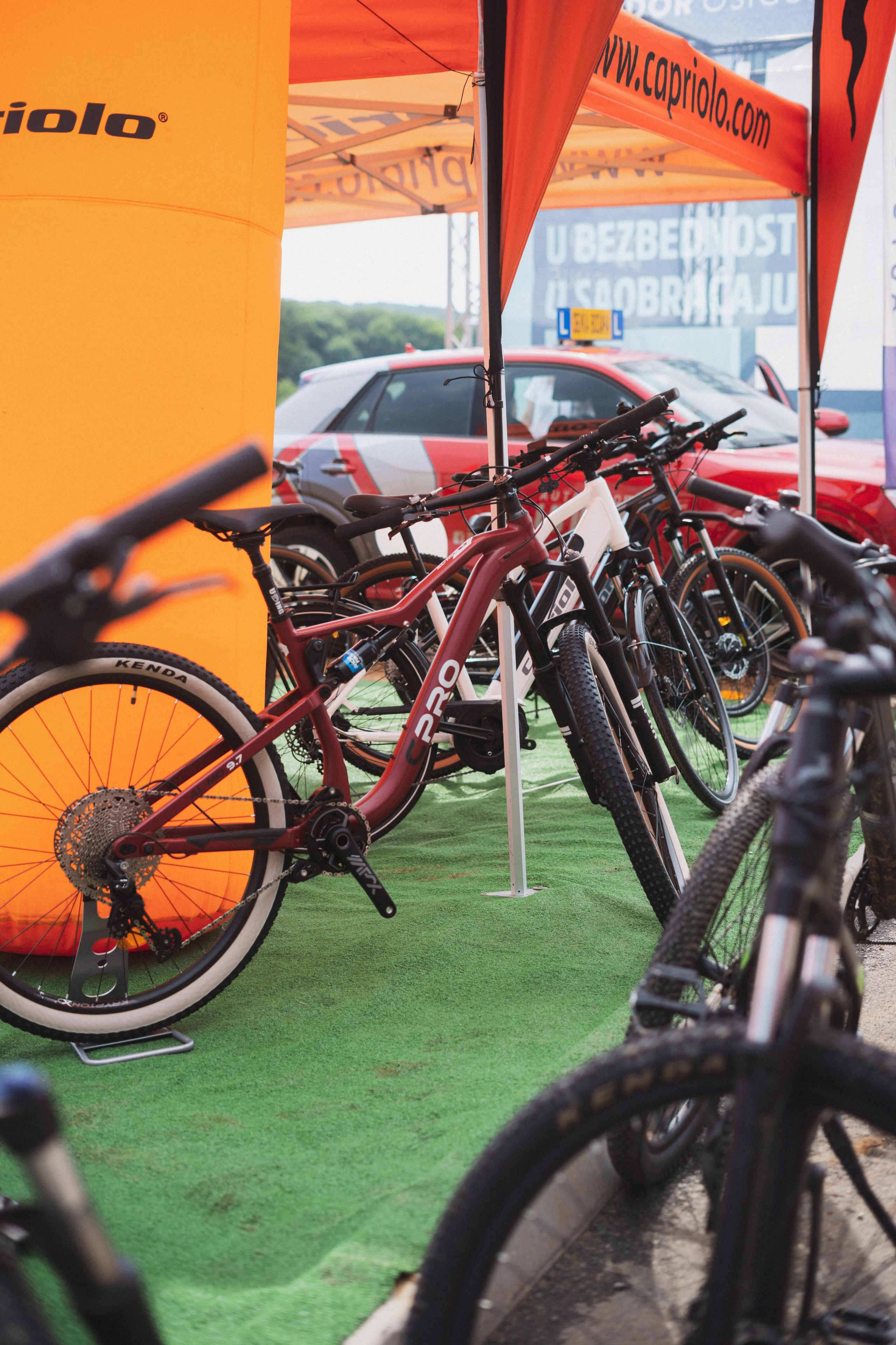 Tour de Fruska. Zhukov studio