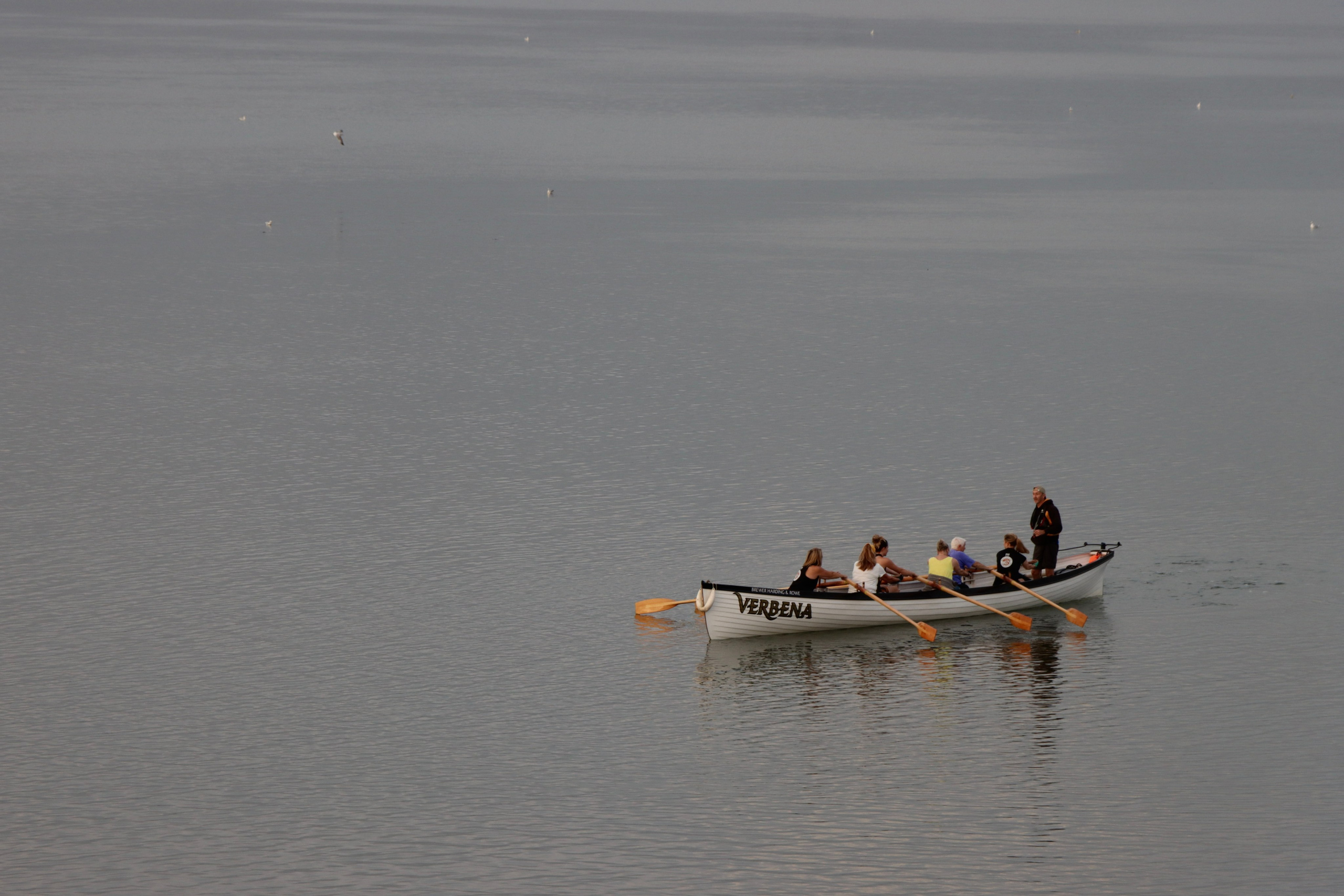 Пейзажи. Фотограф Таня Уорд Бидефорд Пермь Эксетер Плимут Лондон
